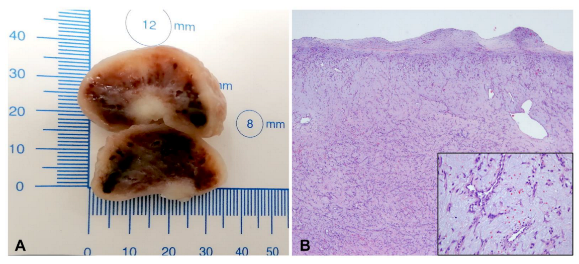 Ijerph 19 12888 g005