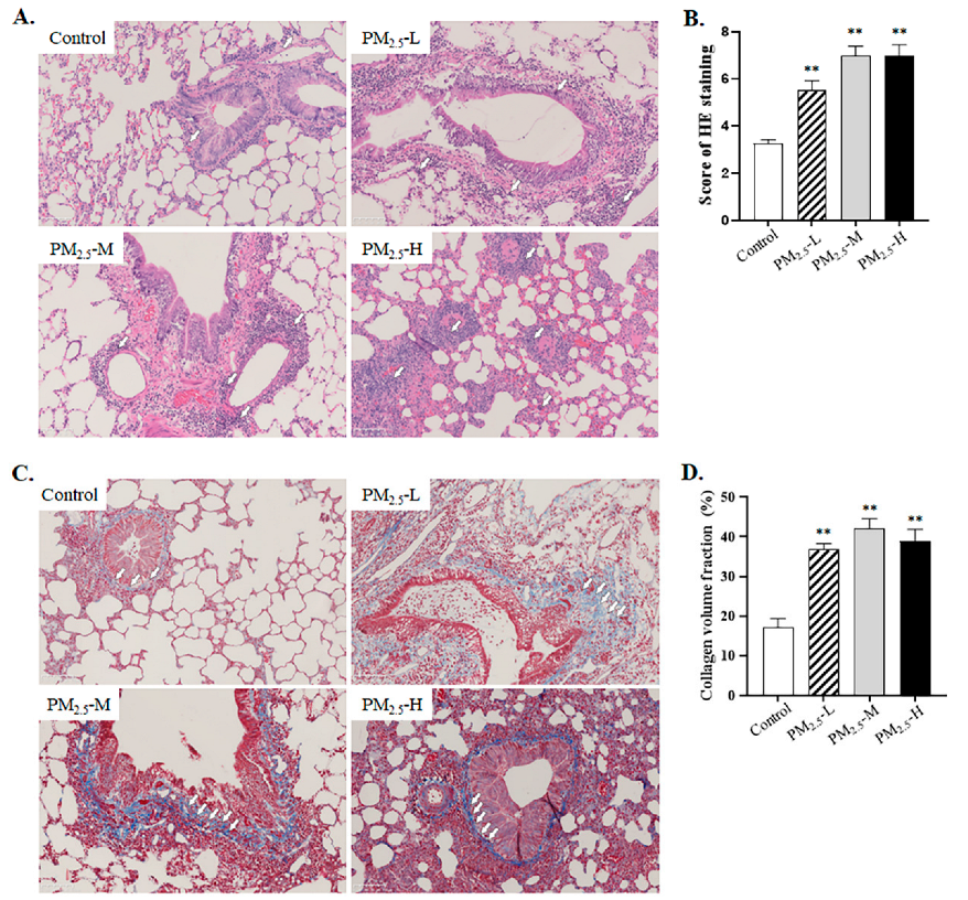 Ijerph 19 12893 g002