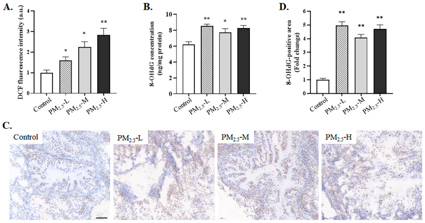 Ijerph 19 12893 g004