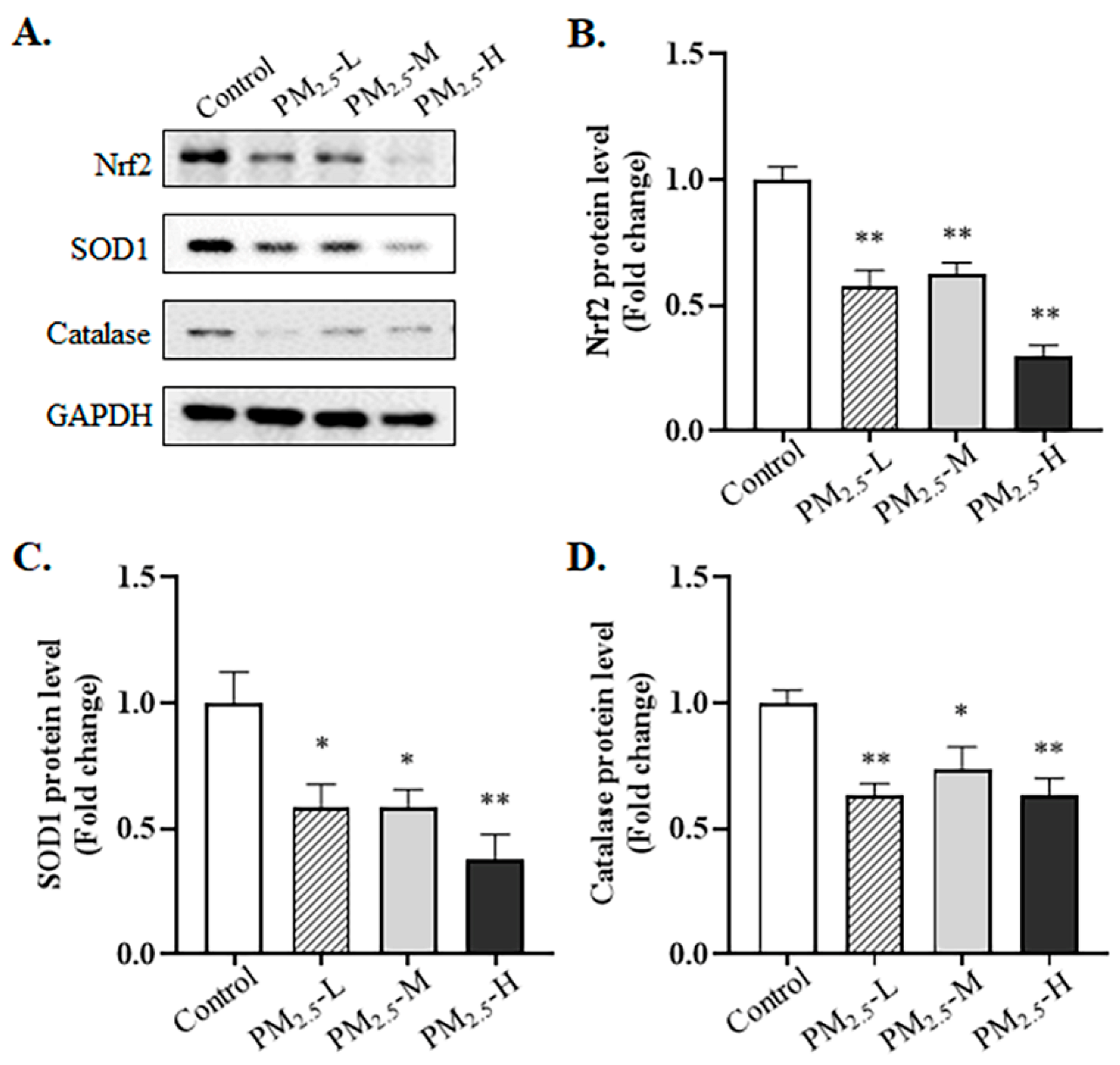 Ijerph 19 12893 g006