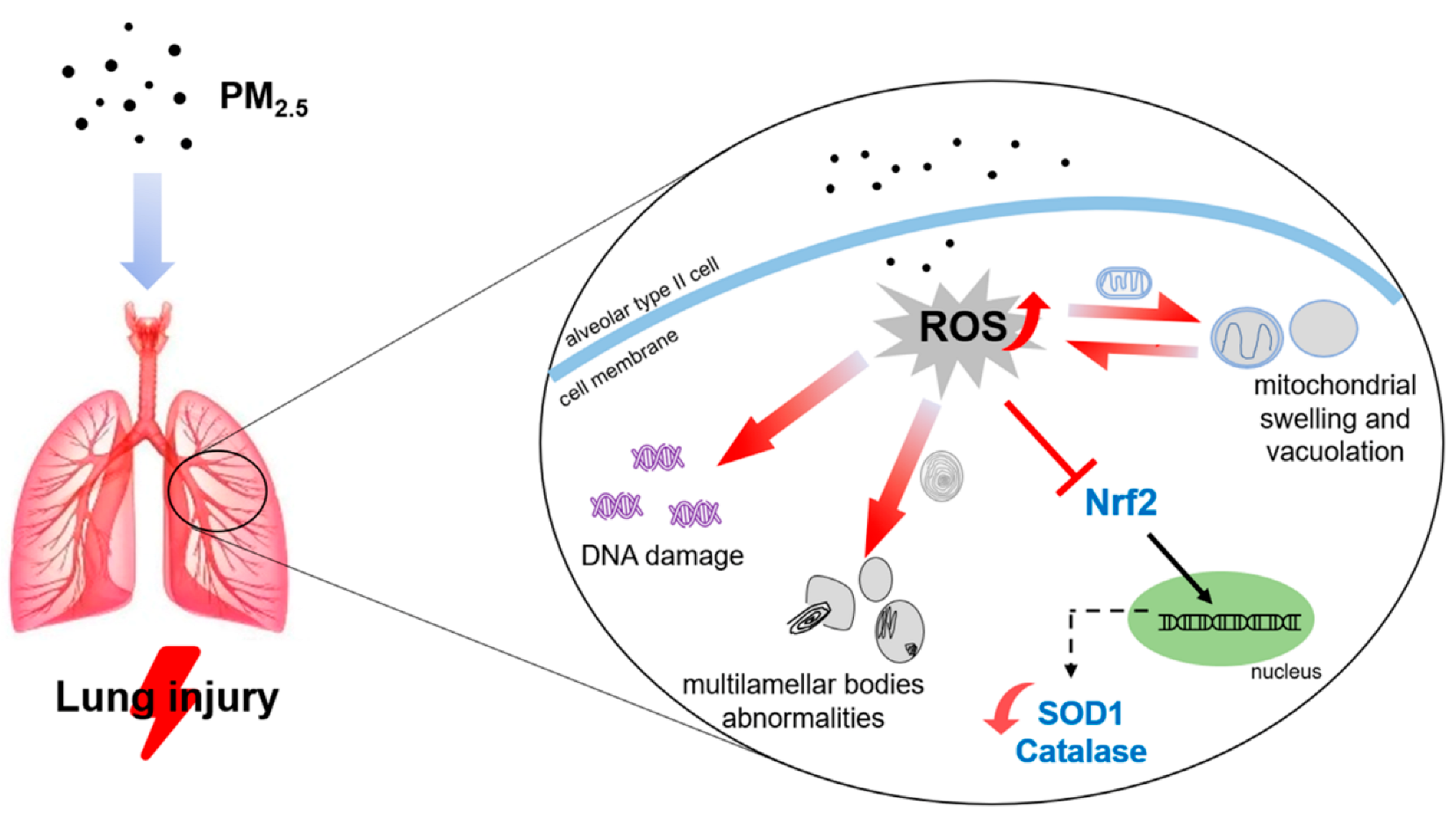 Ijerph 19 12893 g007