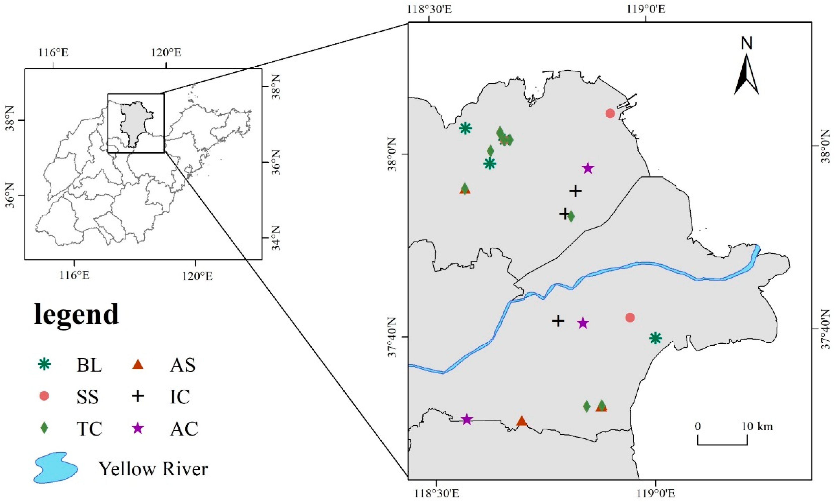 Ijerph 19 12919 g001