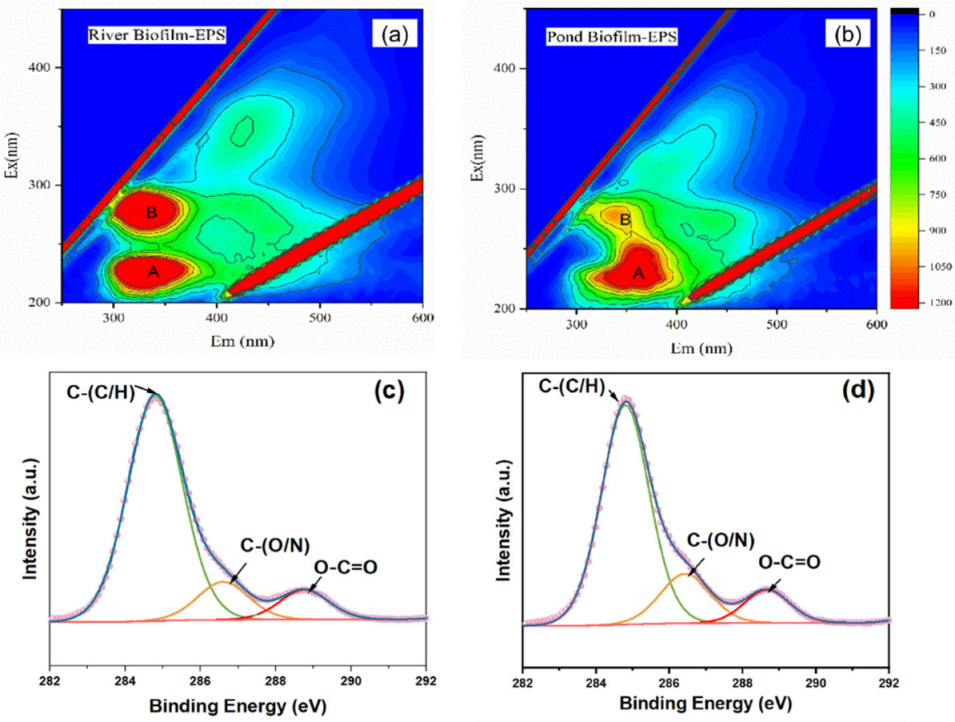 Ijerph 19 12995 g005