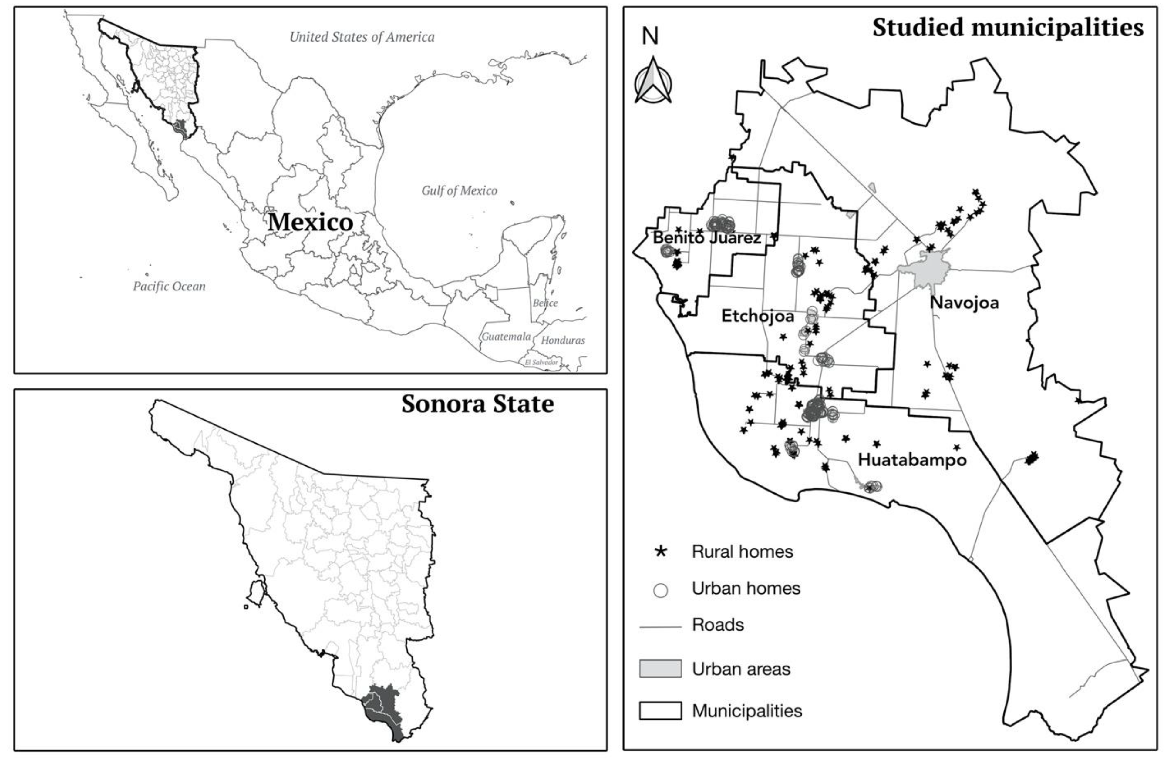 Ijerph 19 13020 g001