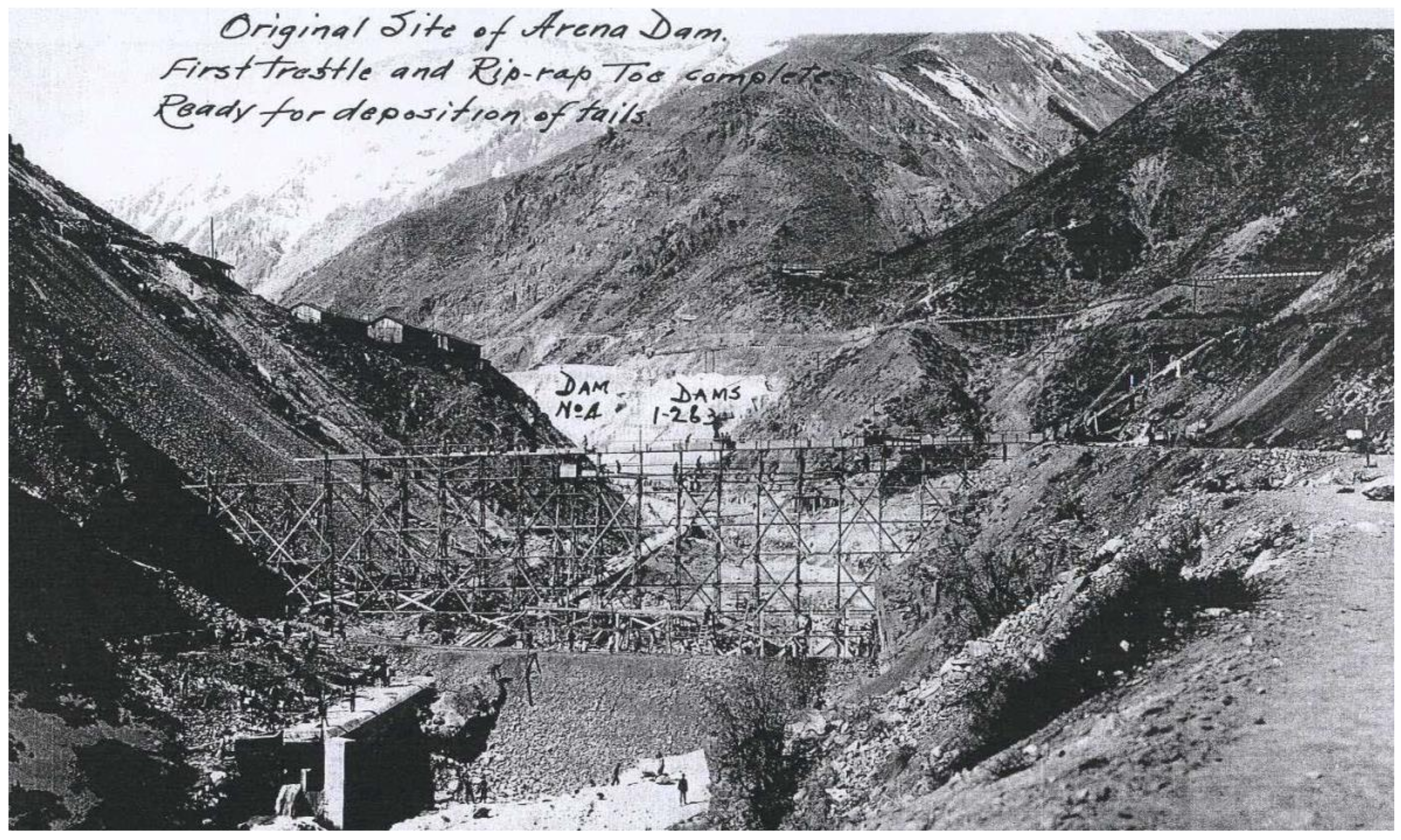 Ijerph 19 13060 g002