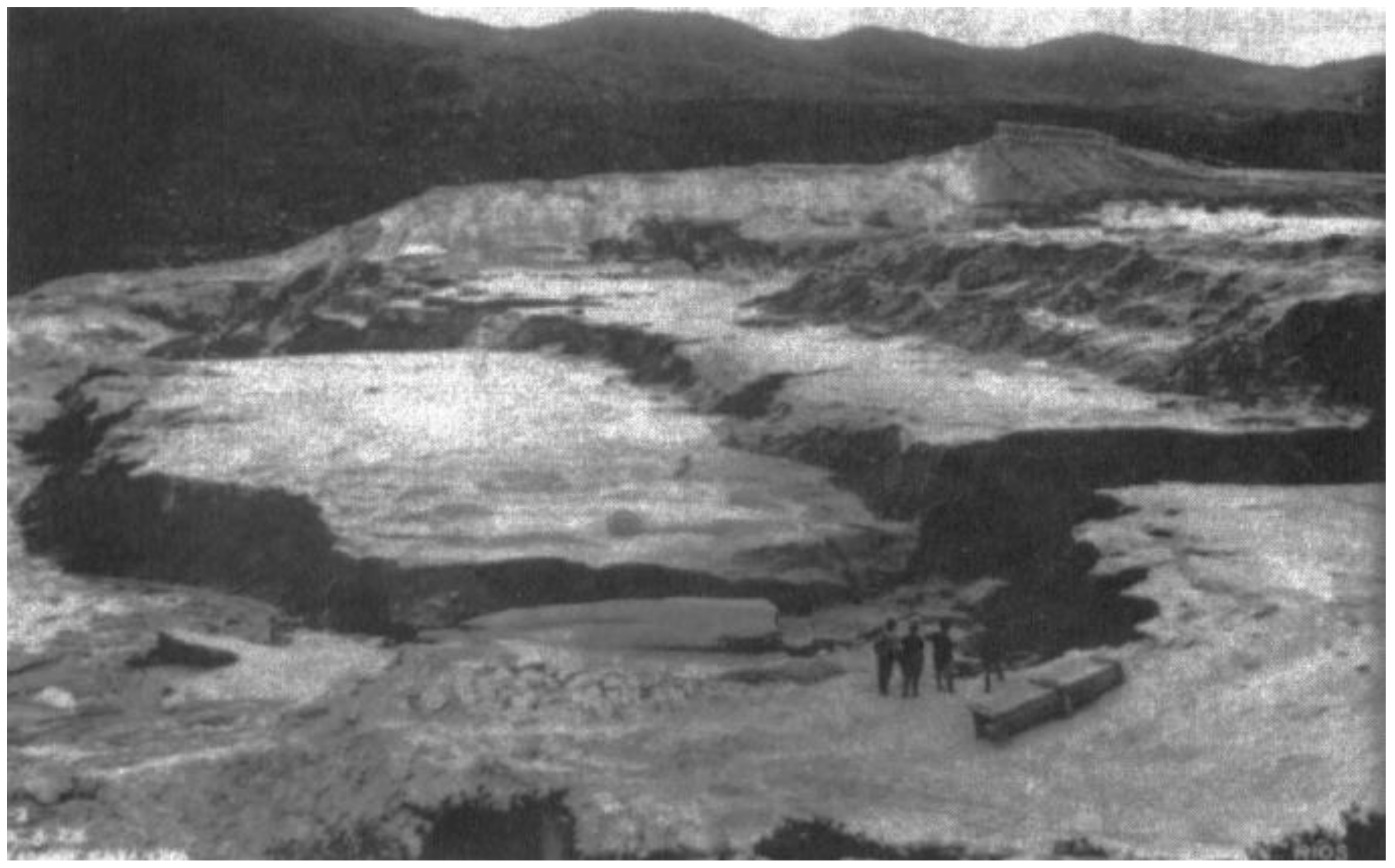 Ijerph 19 13060 g003