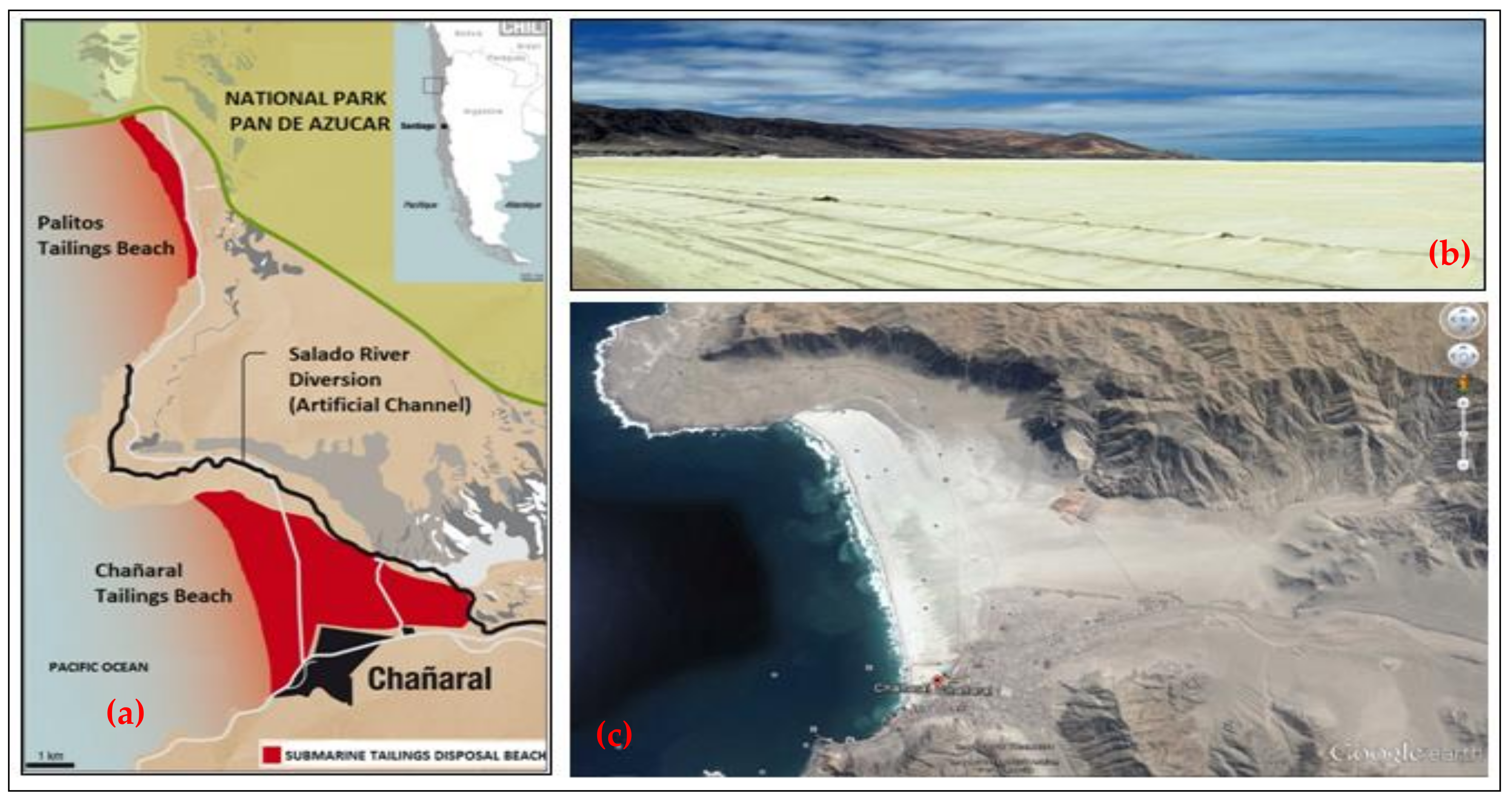 Ijerph 19 13060 g004