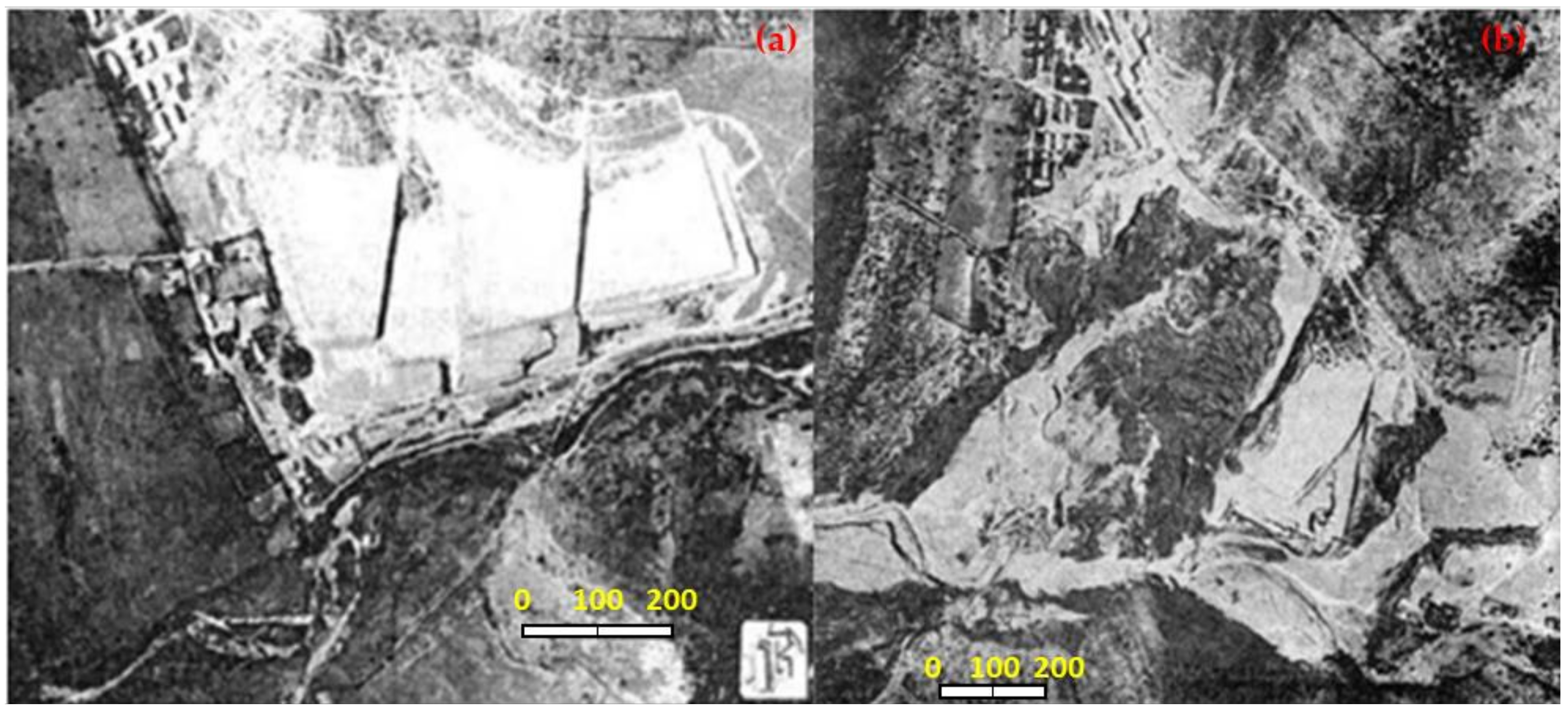 Ijerph 19 13060 g005