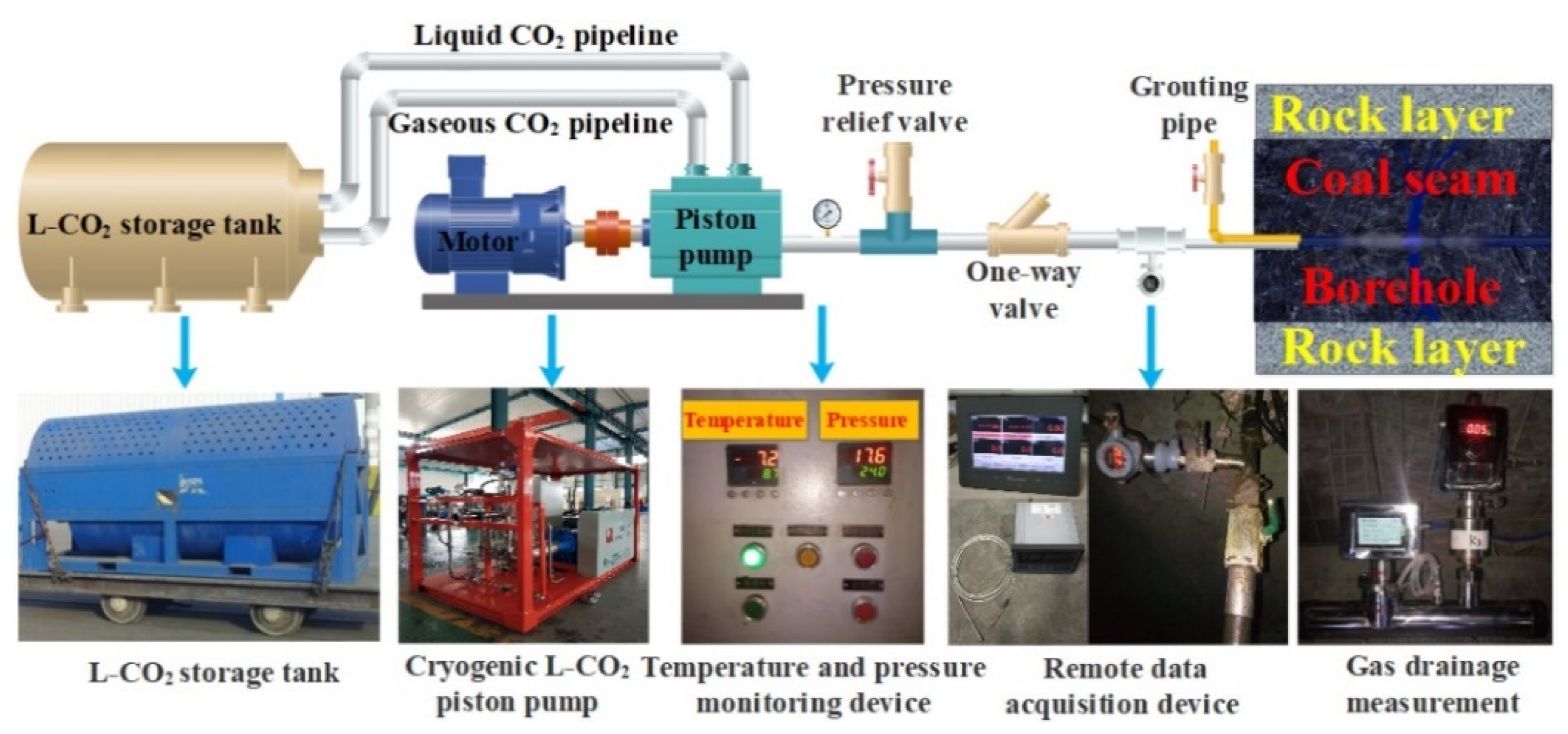 Ijerph 19 13155 g001