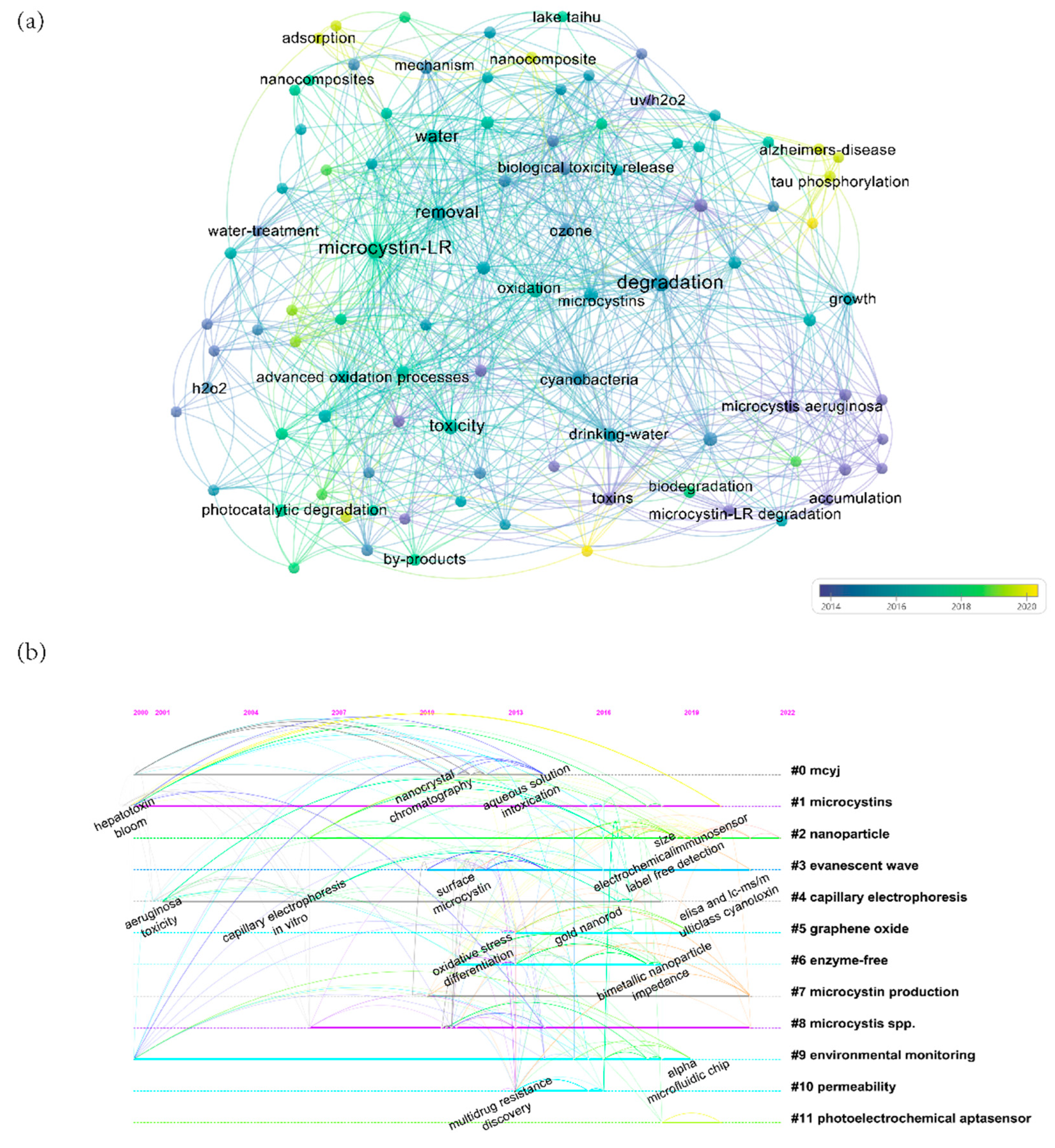 Ijerph 19 13175 g001