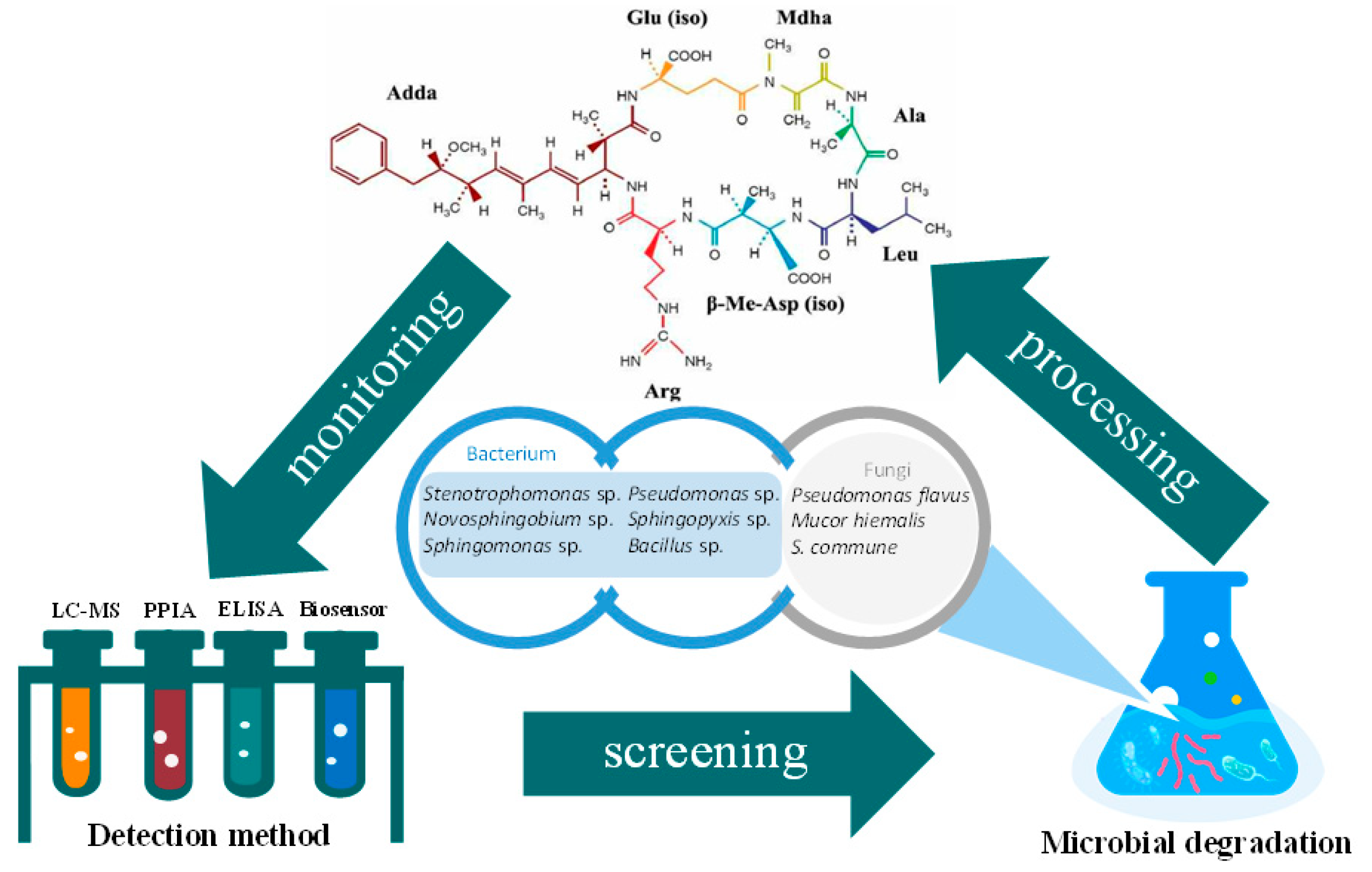 Ijerph 19 13175 g002