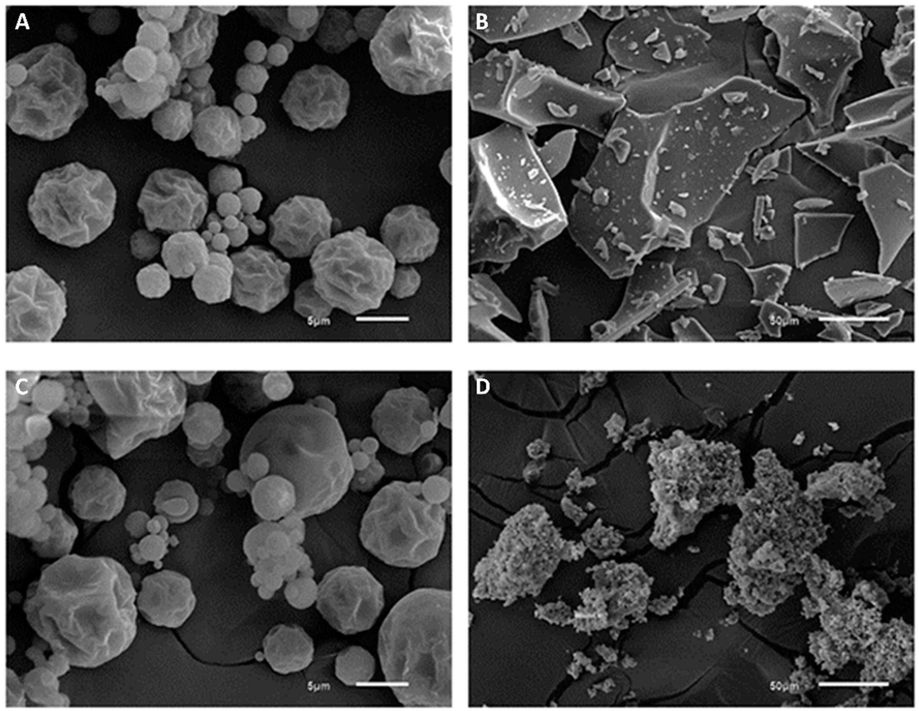 Ijerph 19 13221 g001