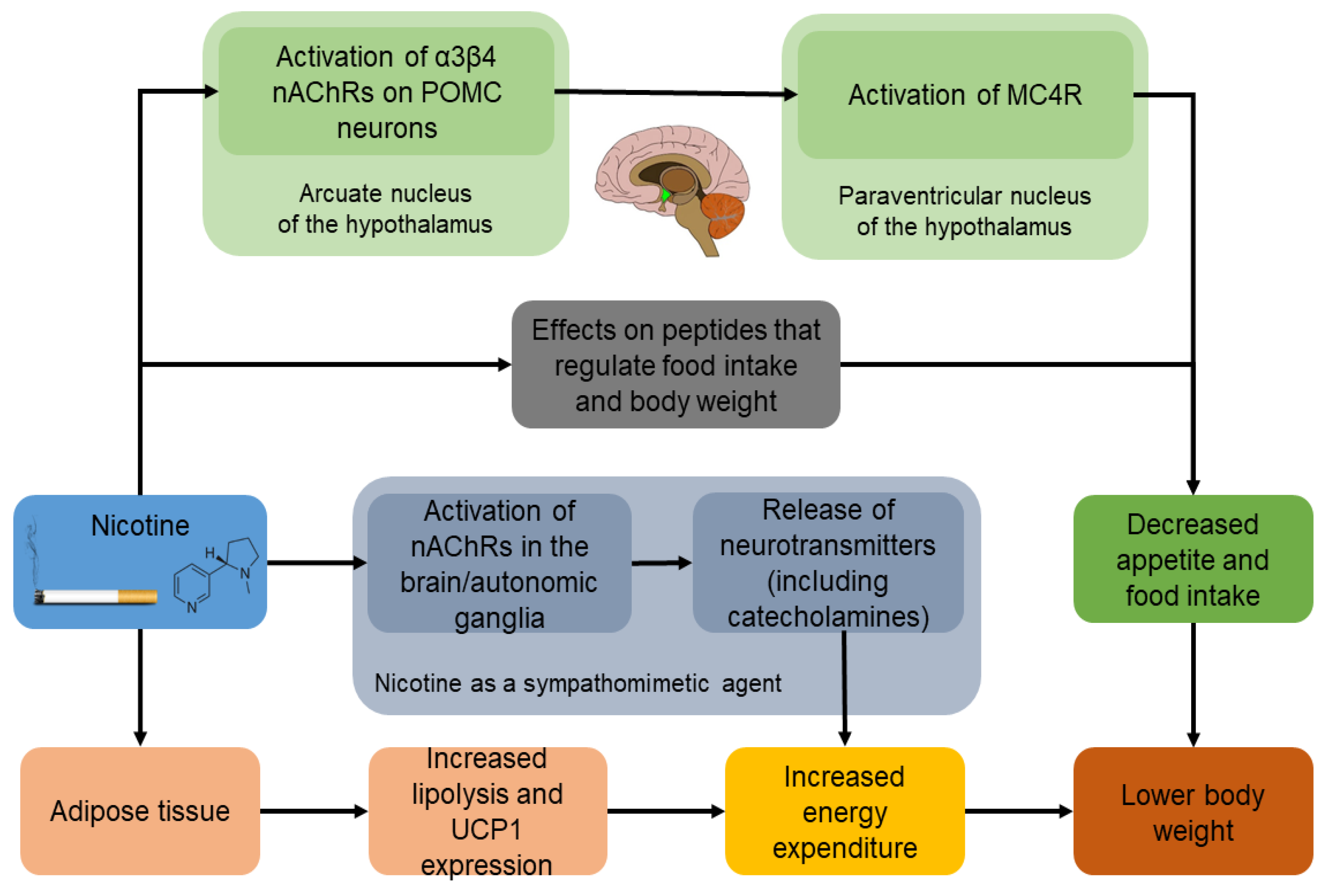 Ijerph 19 13222 g001 Ijerph 19 13222 g001