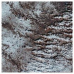 Ijerph 19 13267 i001 Ijerph 19 13267 i001