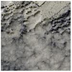 Ijerph 19 13267 i002 Ijerph 19 13267 i002