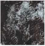 Ijerph 19 13267 i003 Ijerph 19 13267 i003