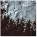 Ijerph 19 13267 i004 Ijerph 19 13267 i004