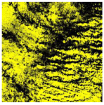 Ijerph 19 13267 i005 Ijerph 19 13267 i005