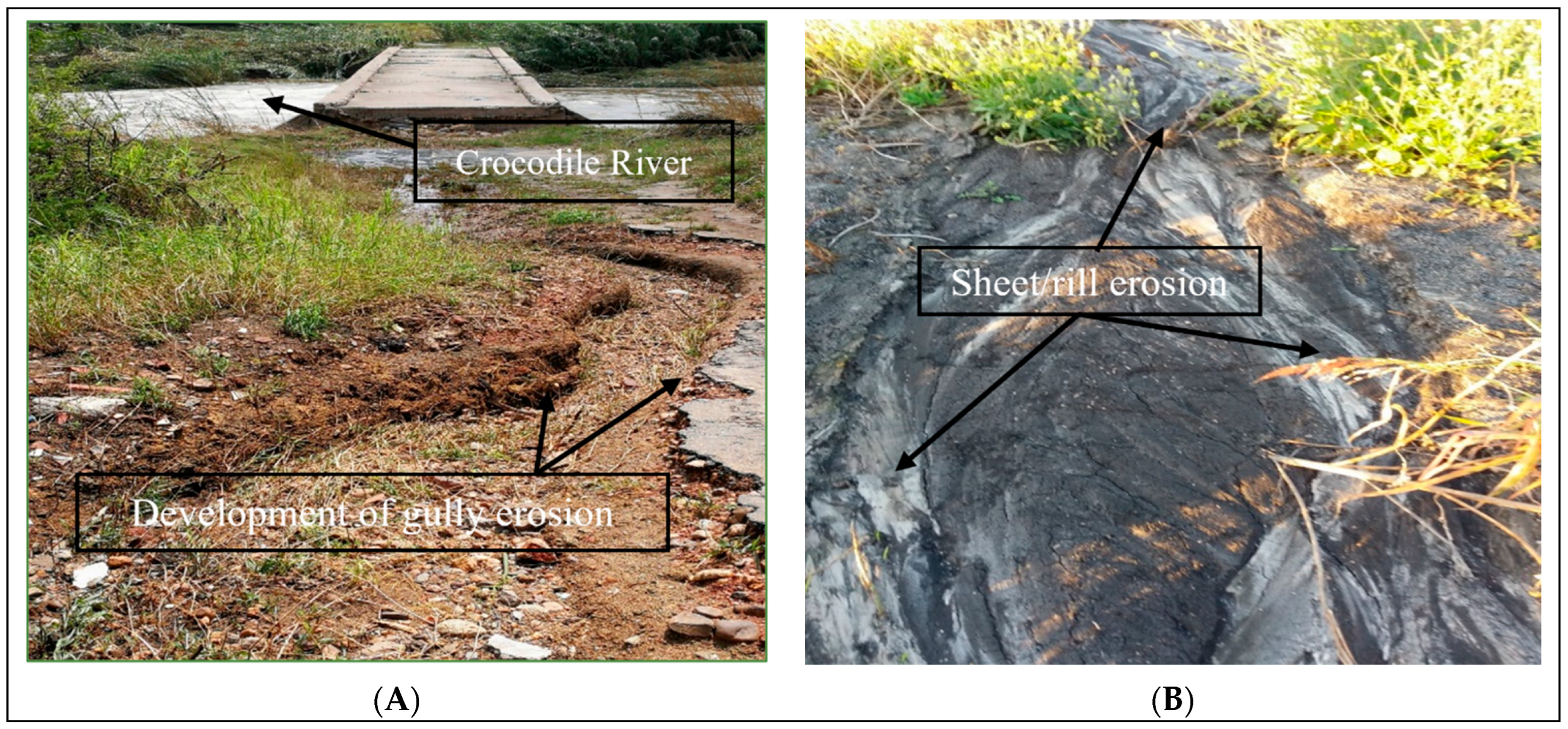 Ijerph 19 13313 g001