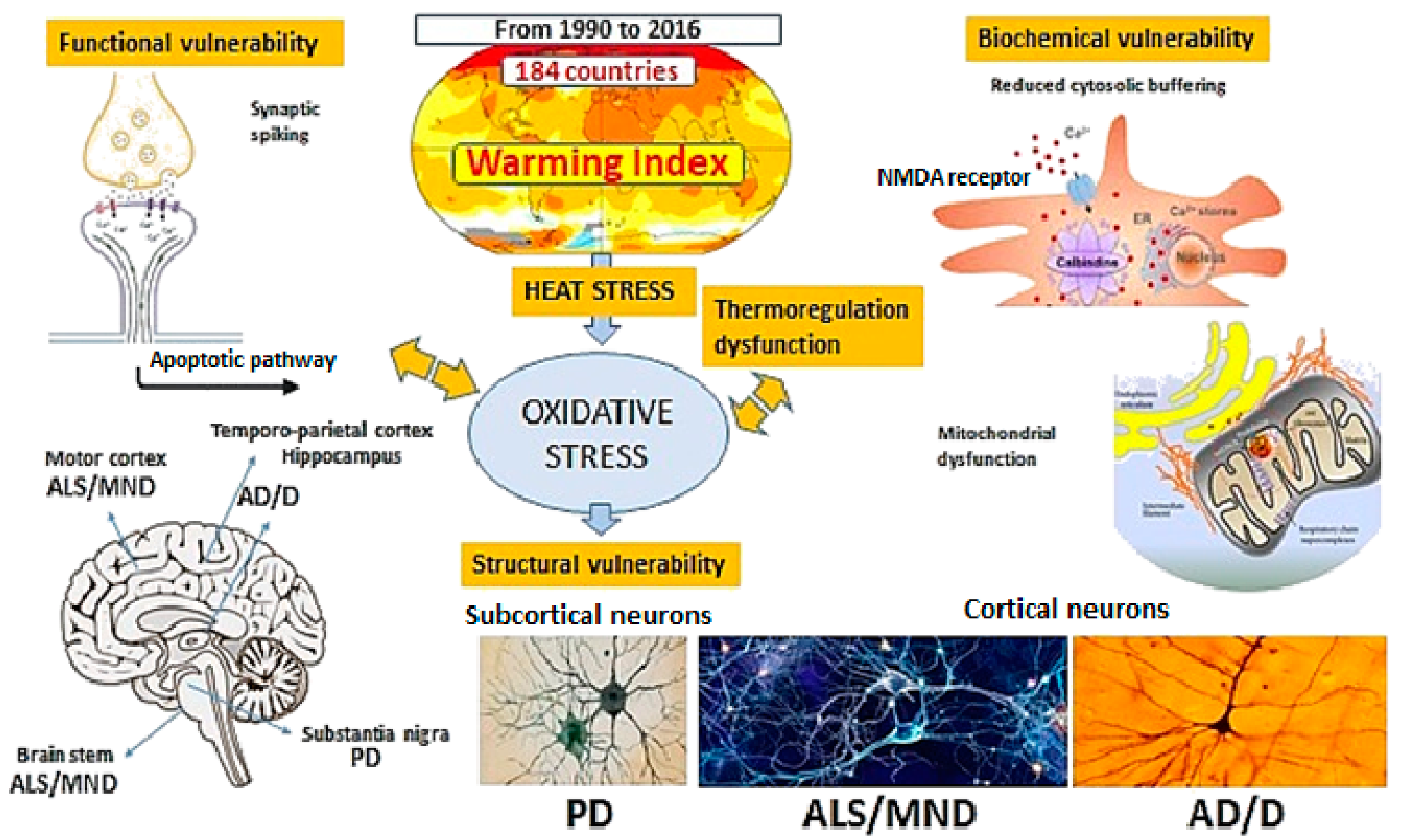 Ijerph 19 13429 g004