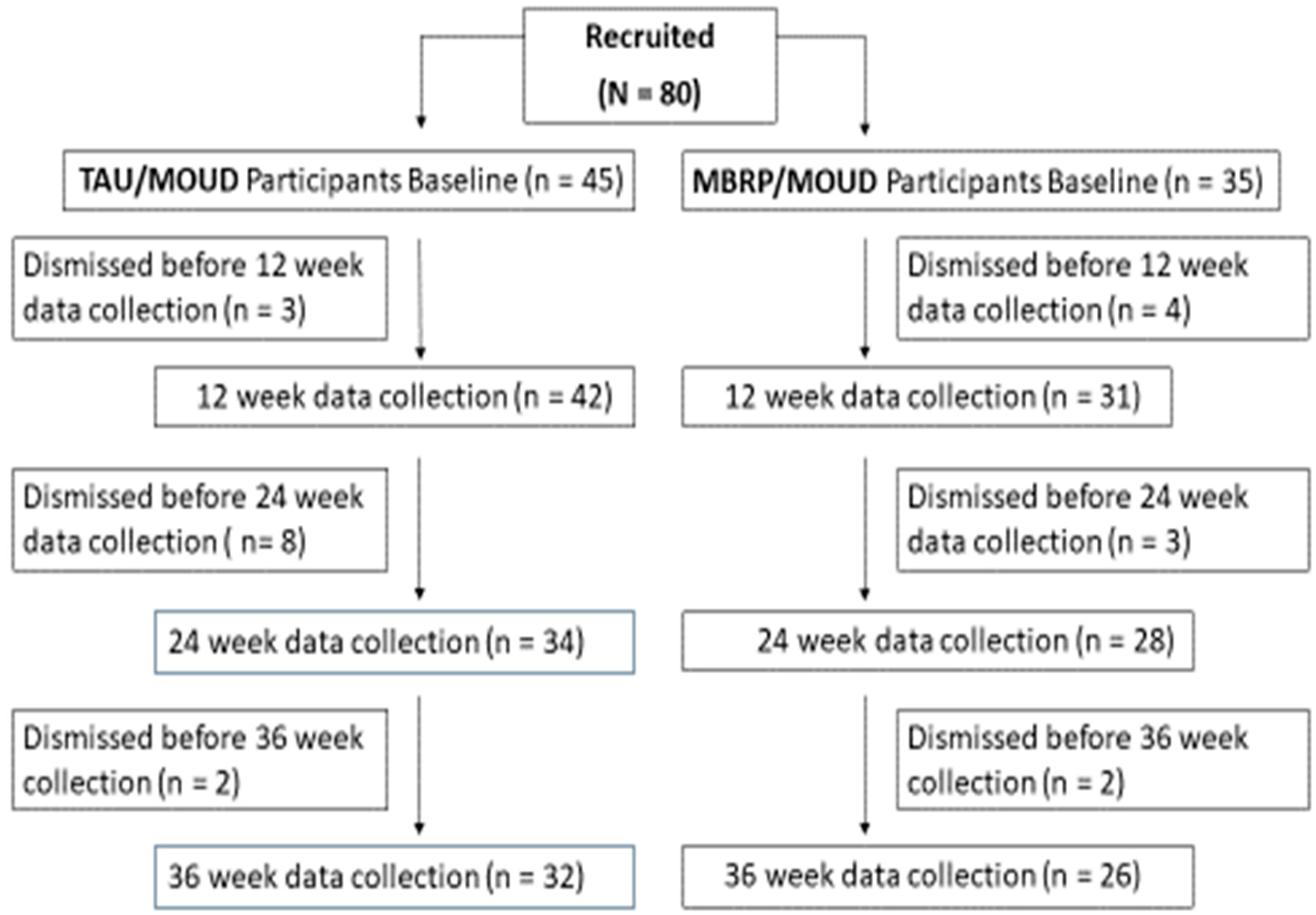 Ijerph 19 13481 g001 Ijerph 19 13481 g001