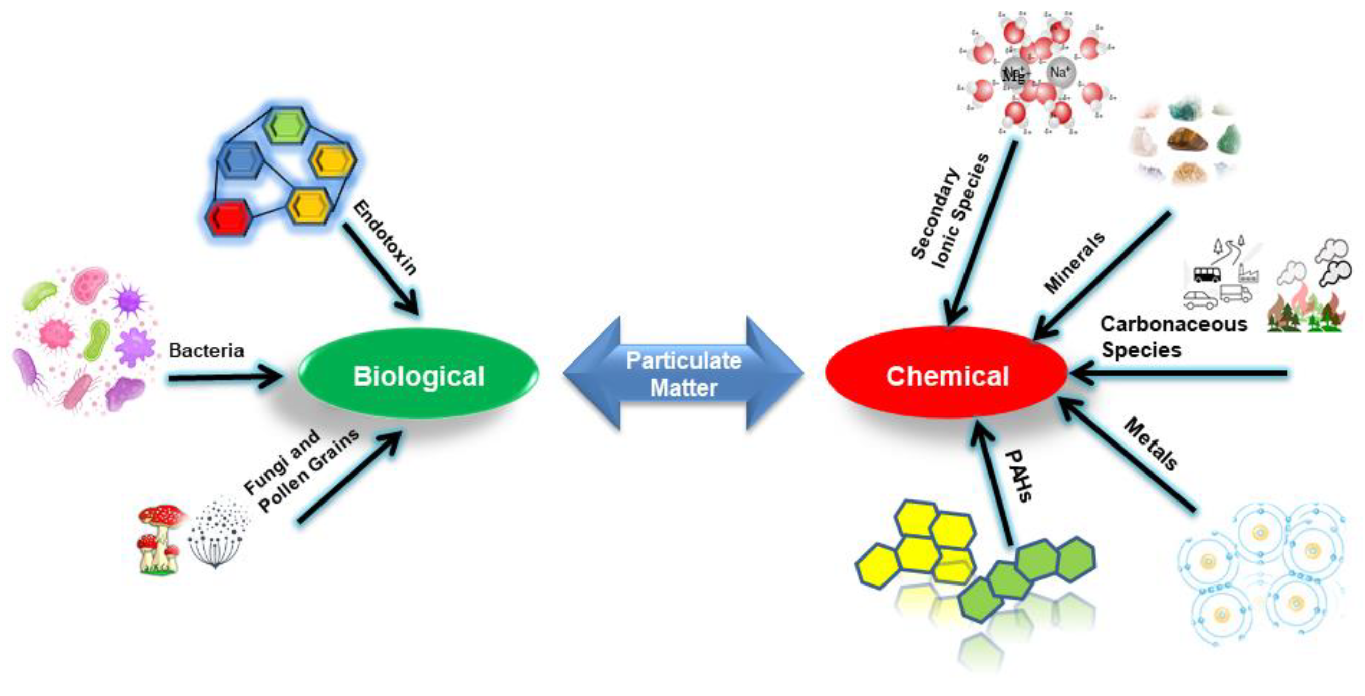 Ijerph 19 13540 g001