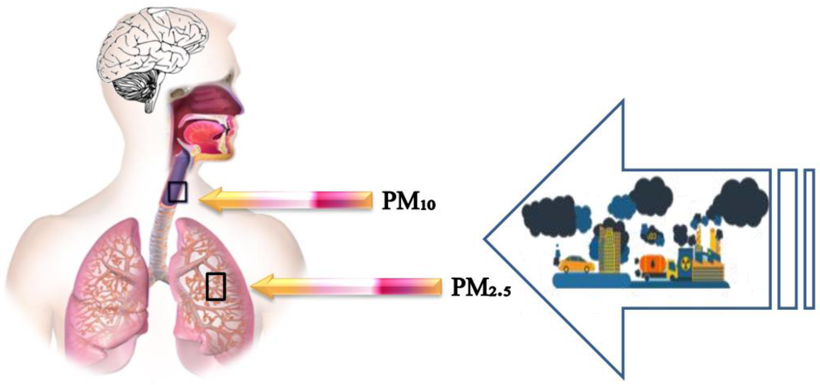 Ijerph 19 13540 g005