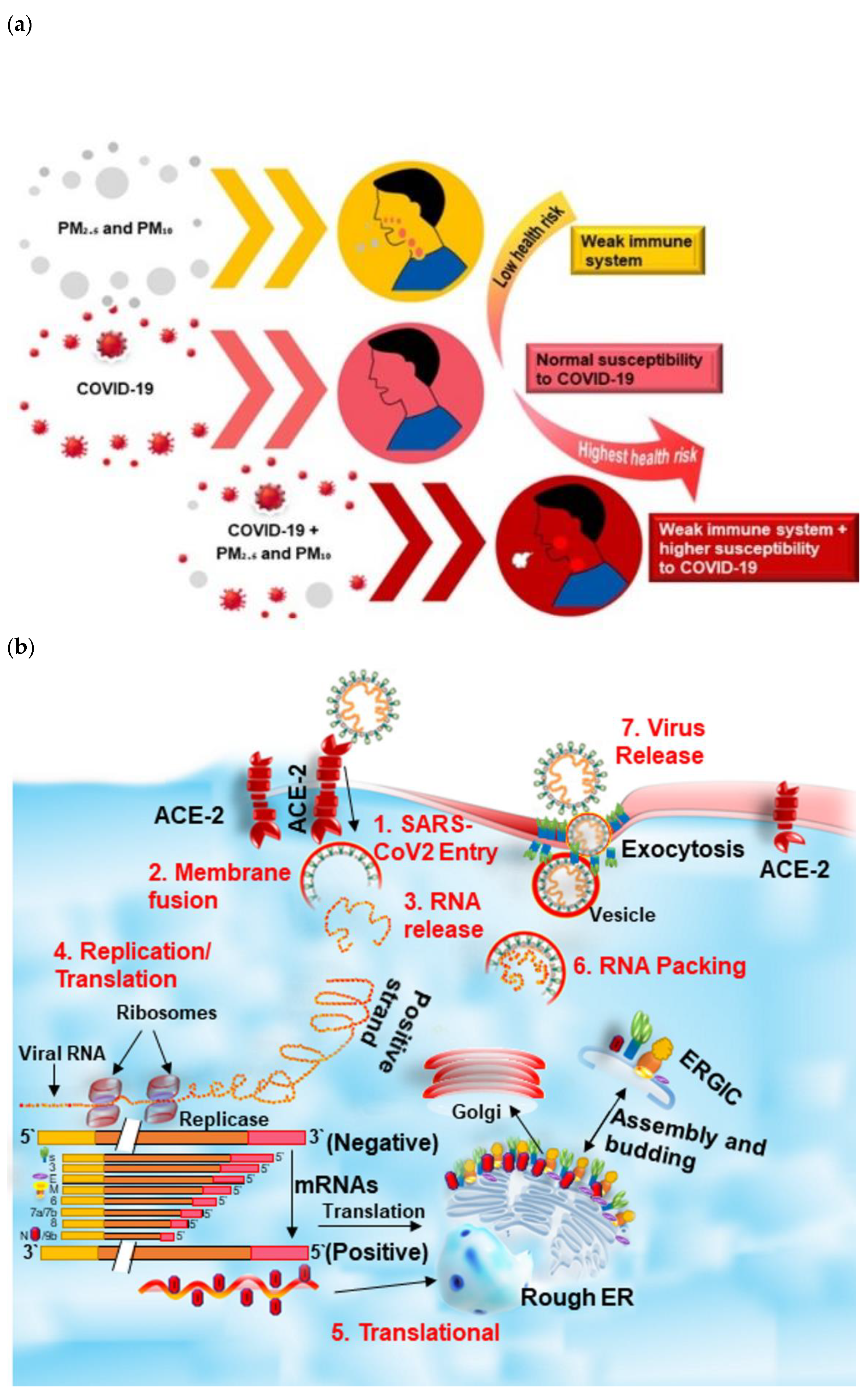 Ijerph 19 13540 g006