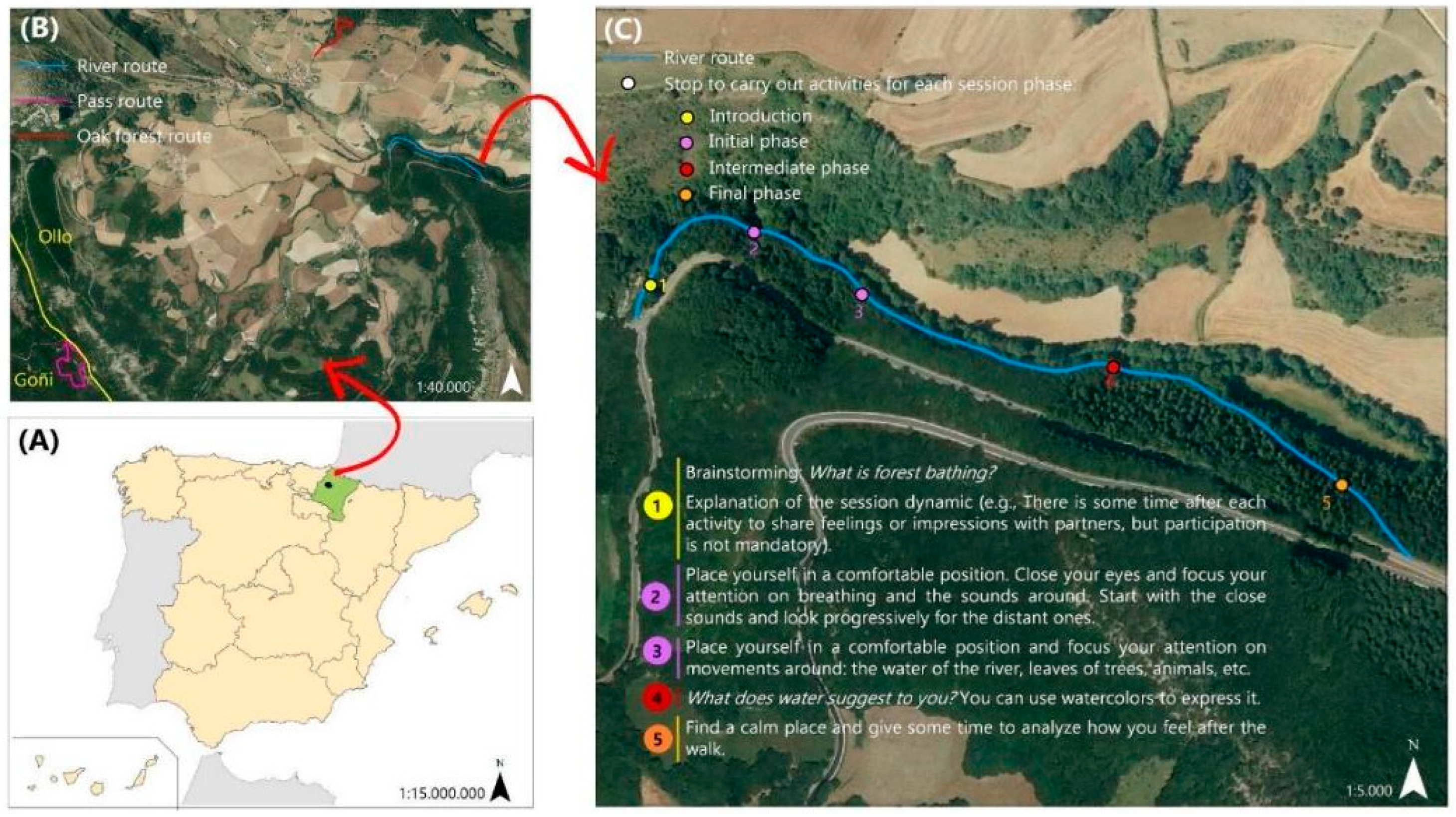 Ijerph 19 13589 g001