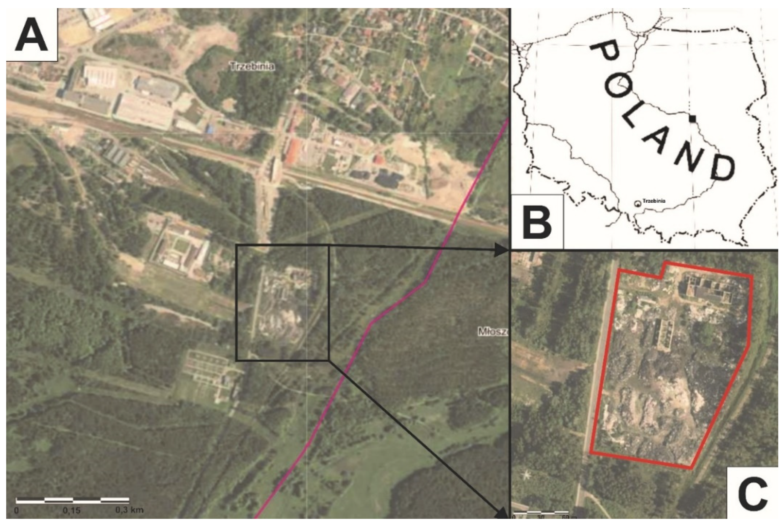 Ijerph 19 13613 g001