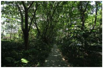 Ijerph 19 13640 i003 Ijerph 19 13640 i003