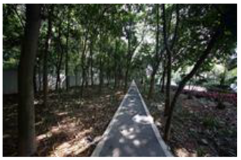 Ijerph 19 13640 i005 Ijerph 19 13640 i005