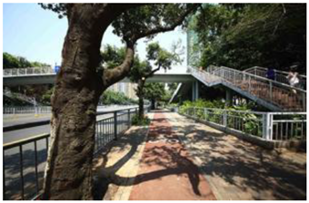 Ijerph 19 13640 i009 Ijerph 19 13640 i009