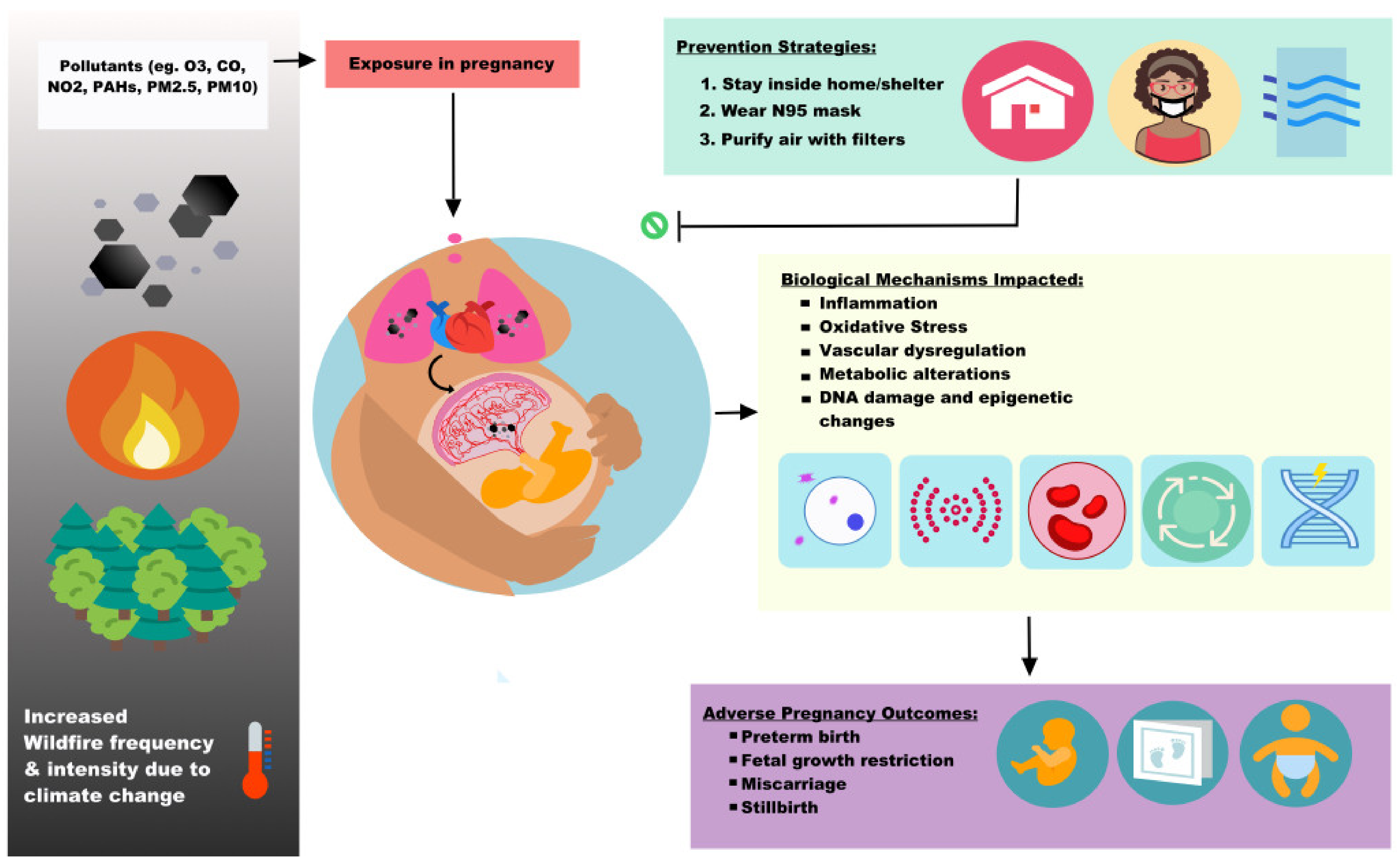 Ijerph 19 13727 g002 Ijerph 19 13727 g002
