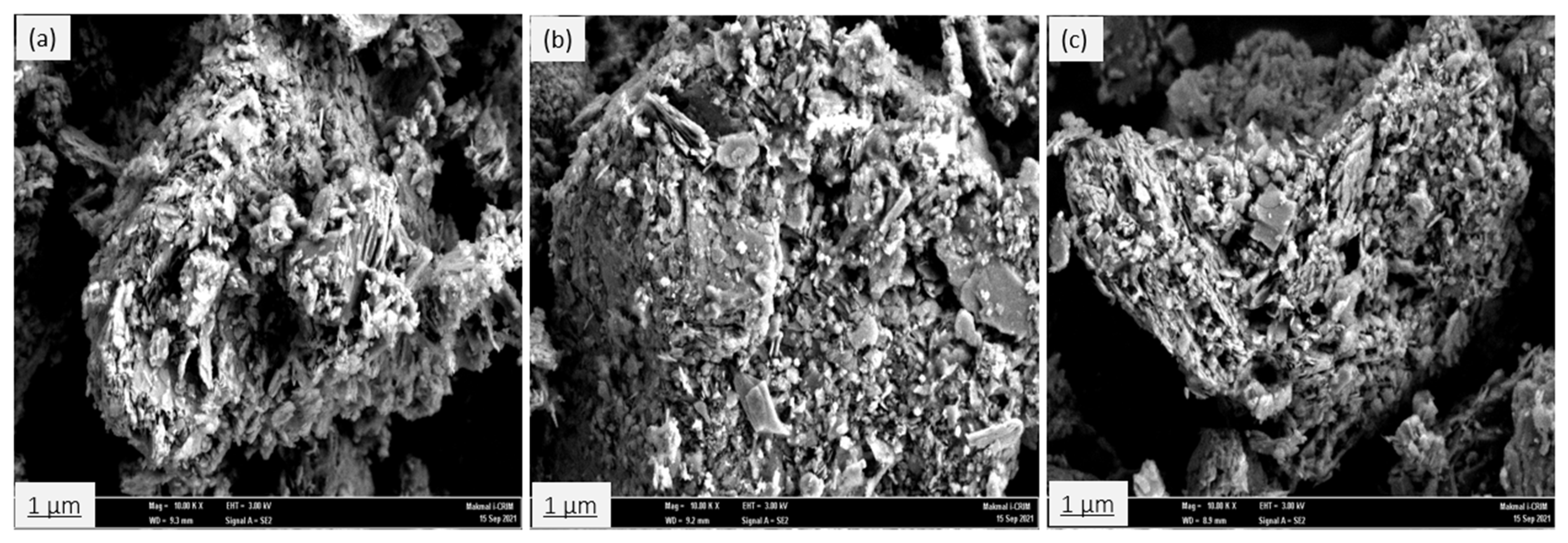 Ijerph 19 13774 g008