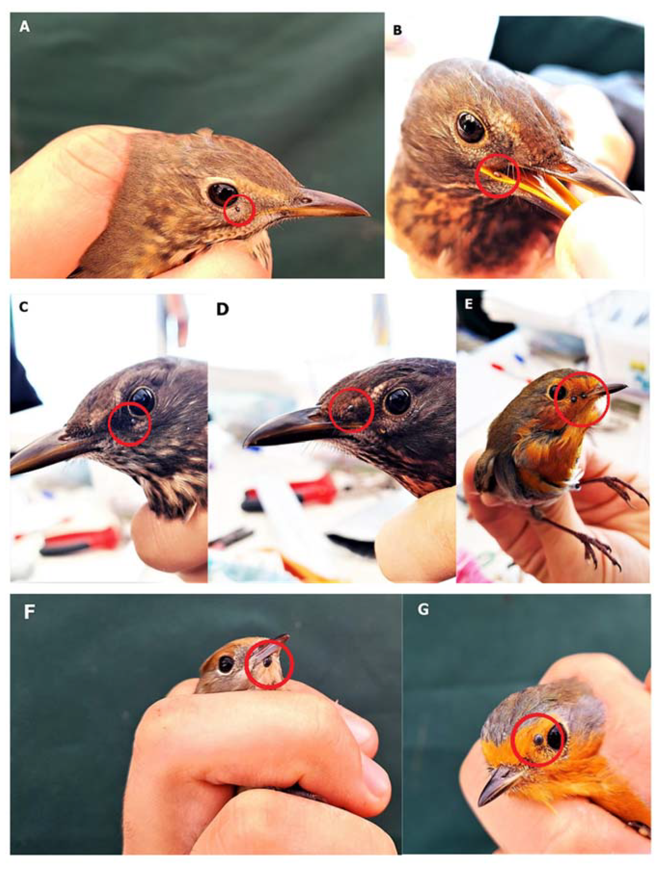 Ijerph 19 13781 g002