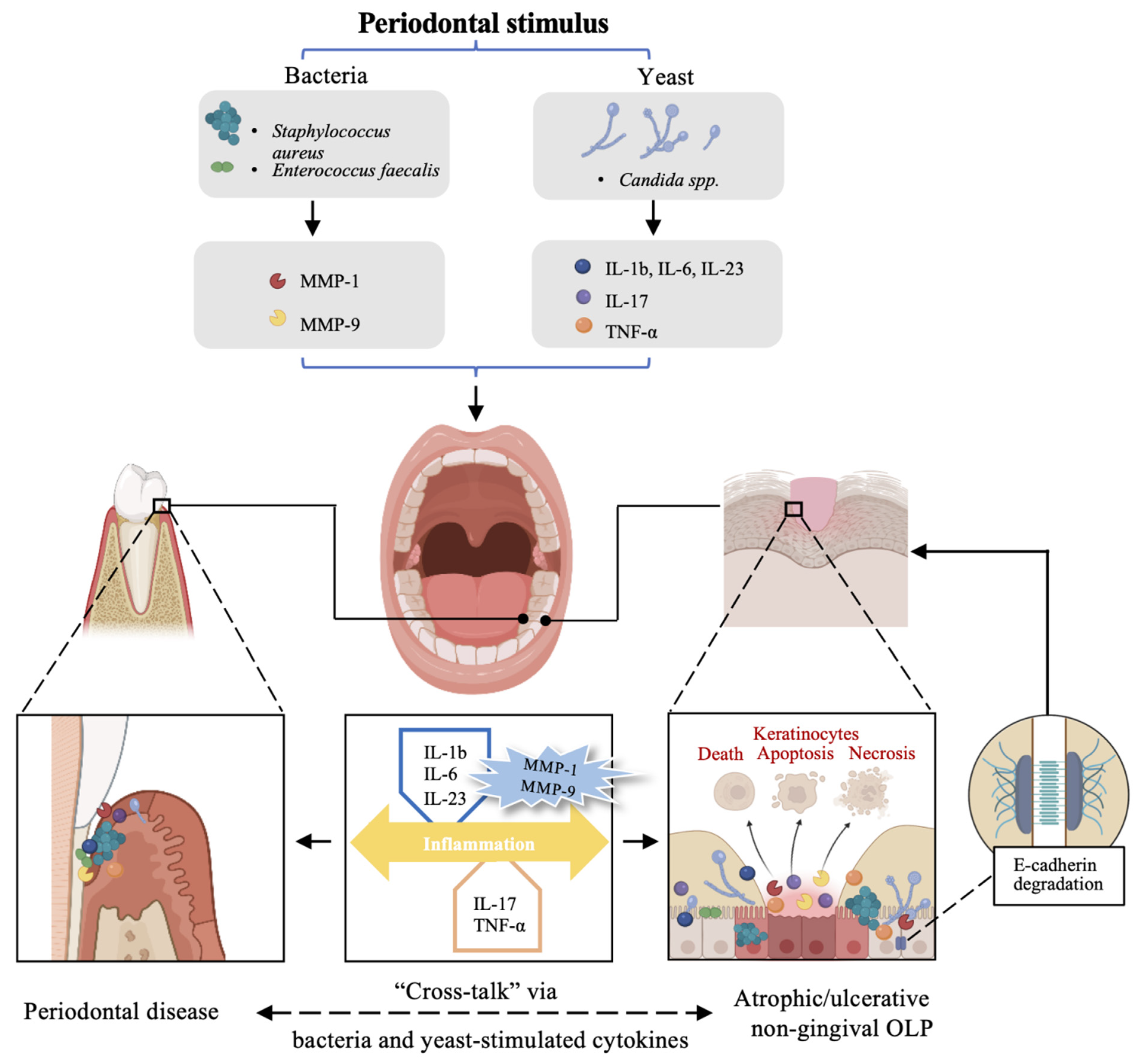 Ijerph 19 13787 g002