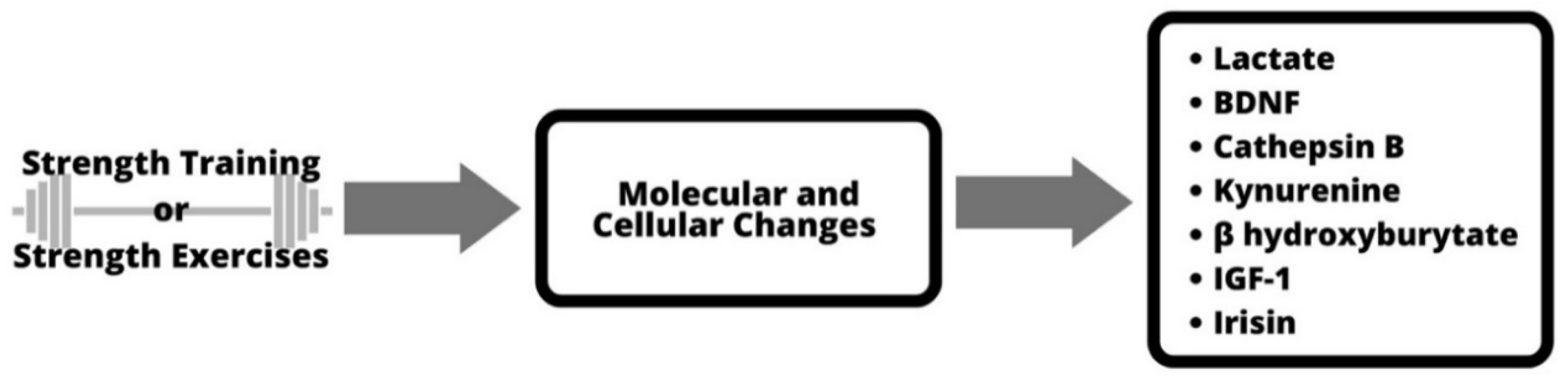 Ijerph 19 13795 g001