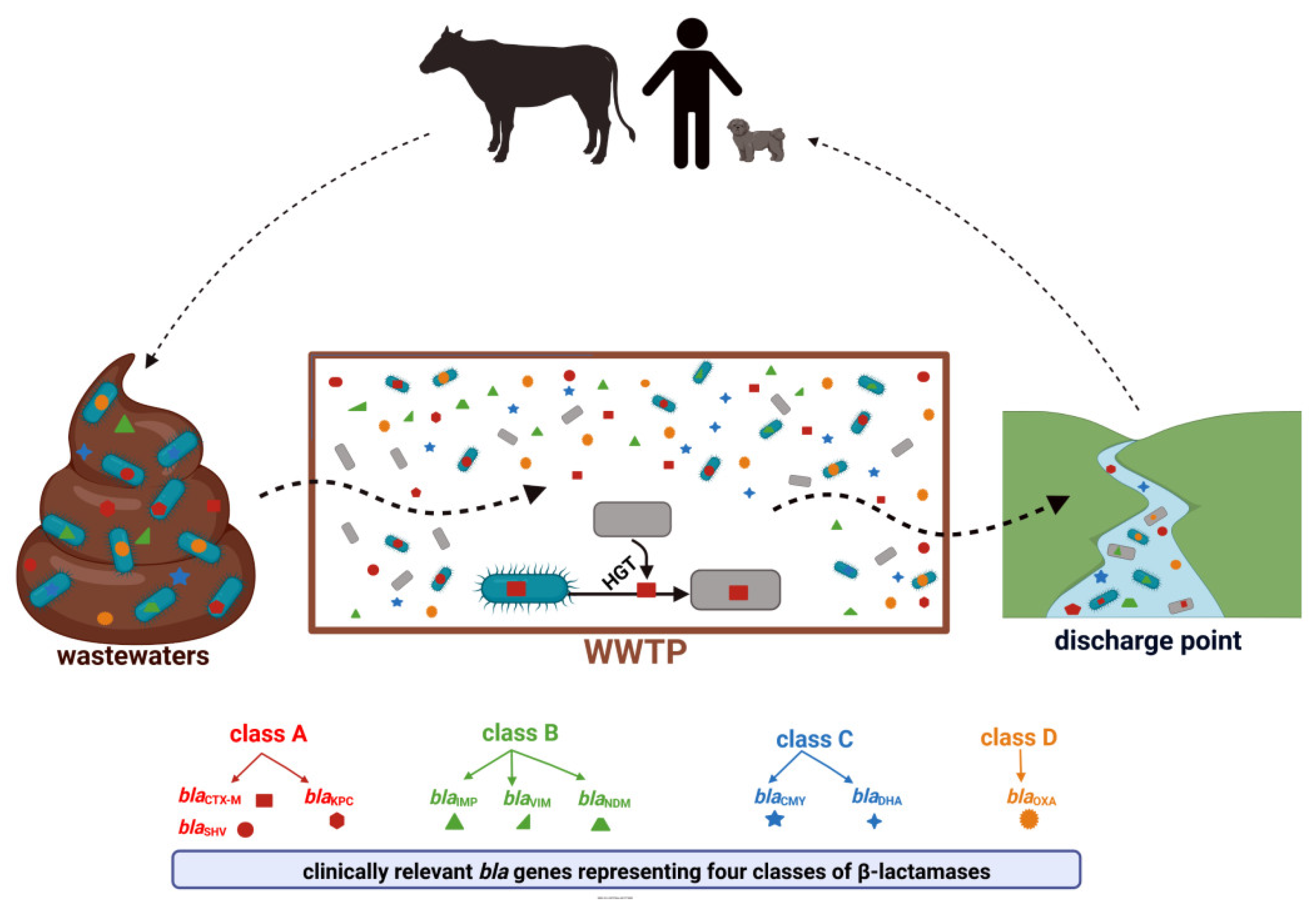 Ijerph 19 13829 g003