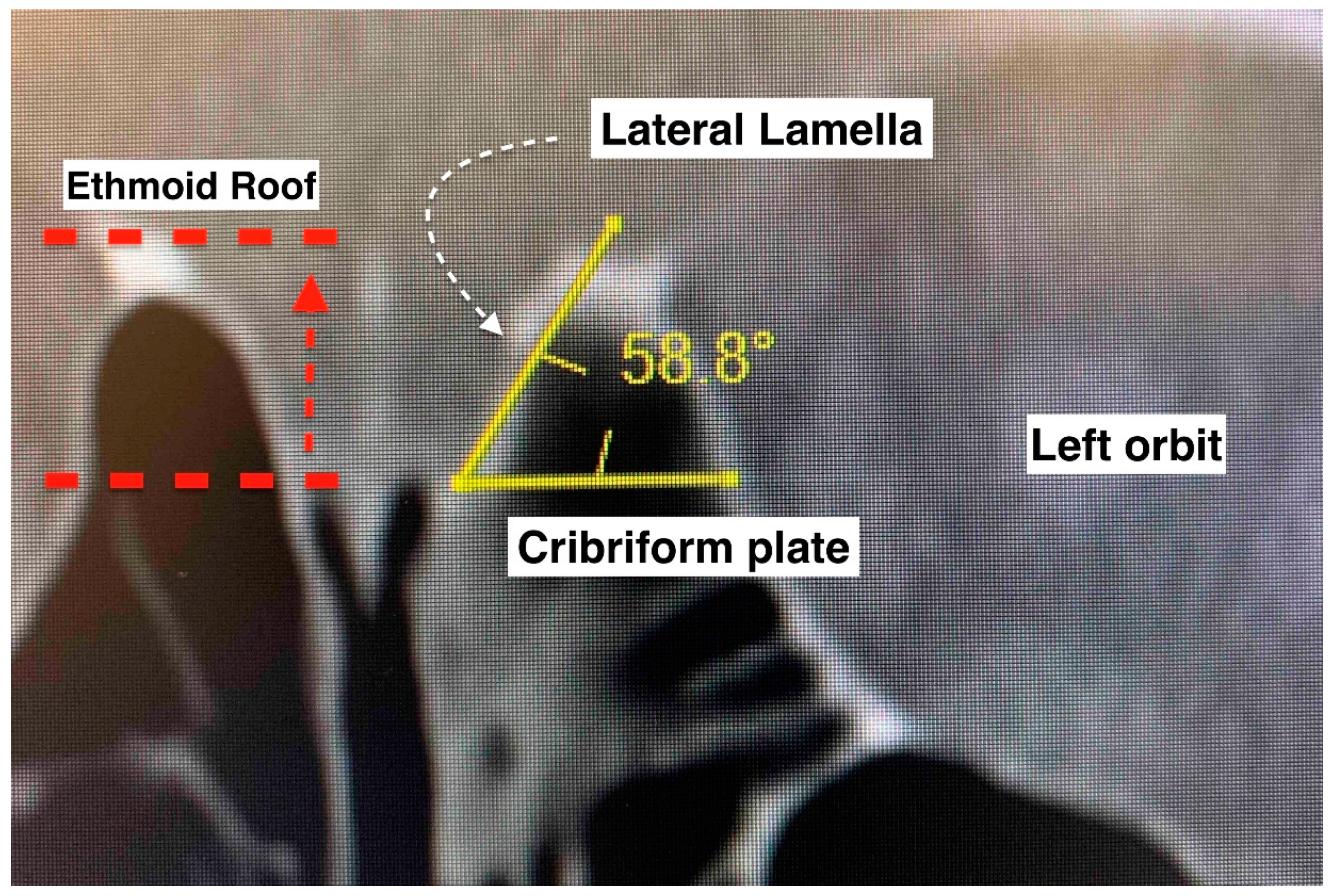 Ijerph 19 13847 g001