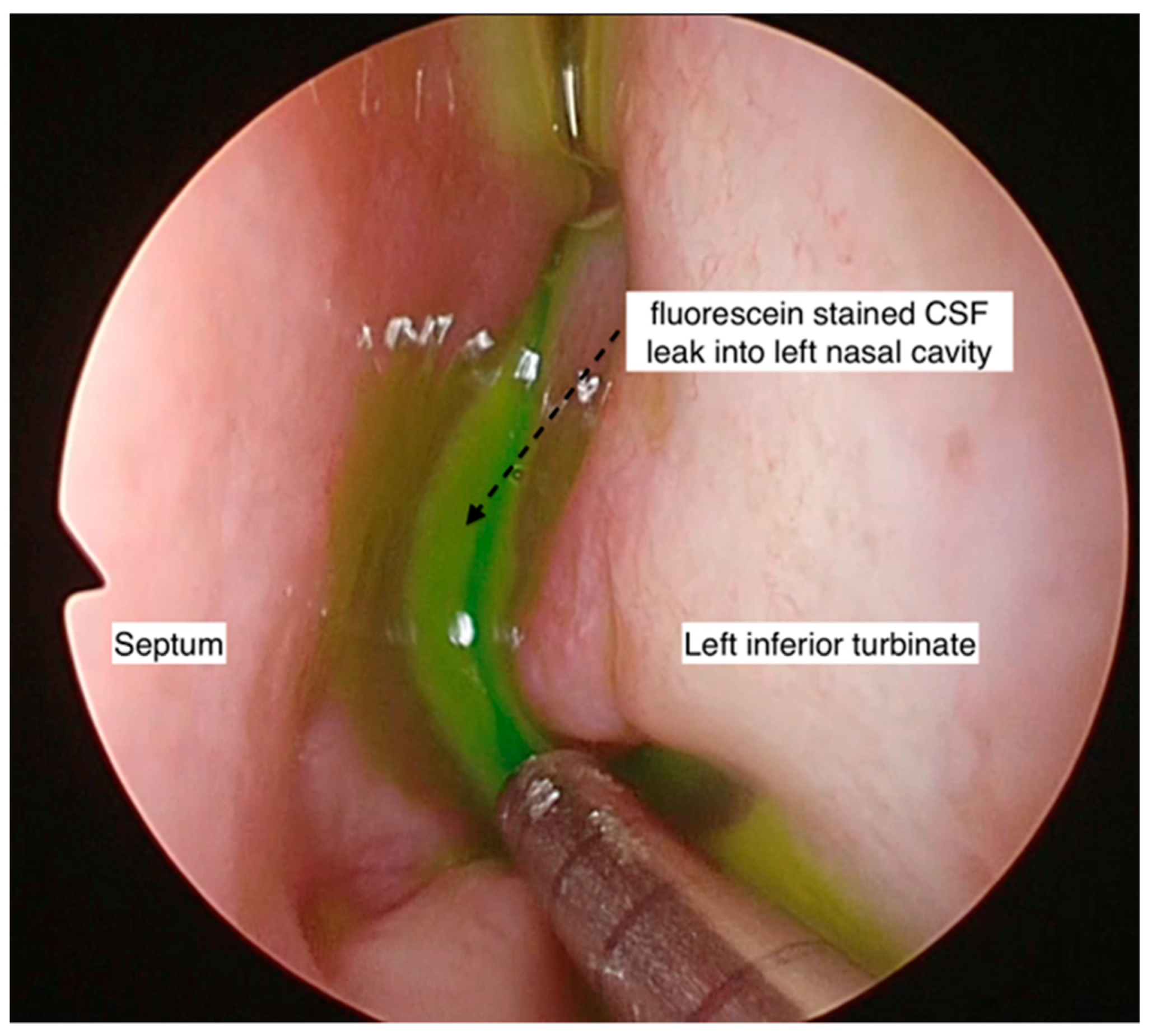 Ijerph 19 13847 g002