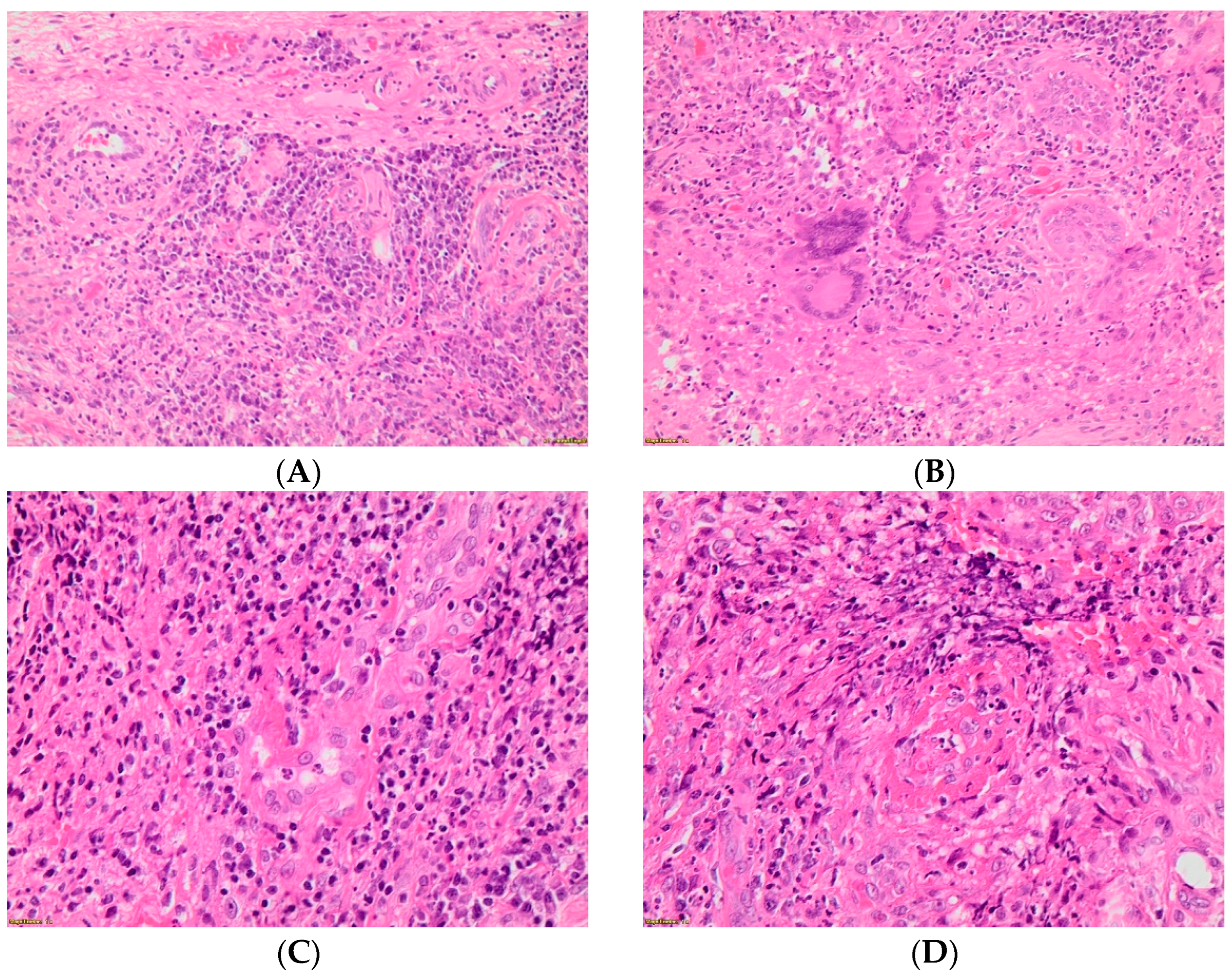 Ijerph 19 13862 g002