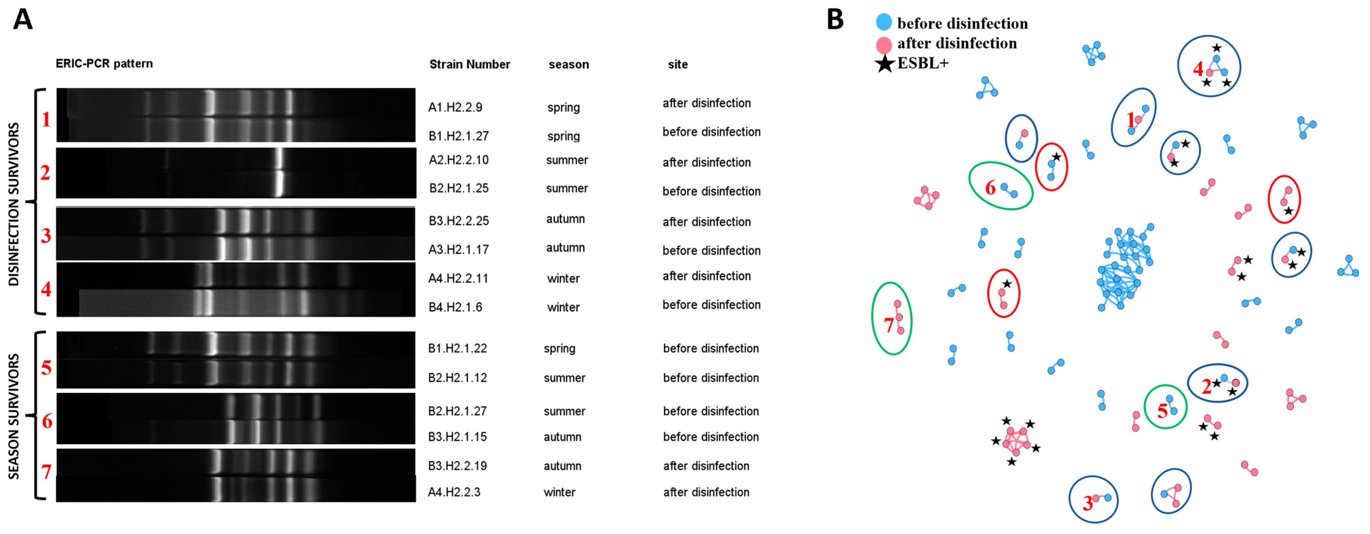 Ijerph 19 13868 g003