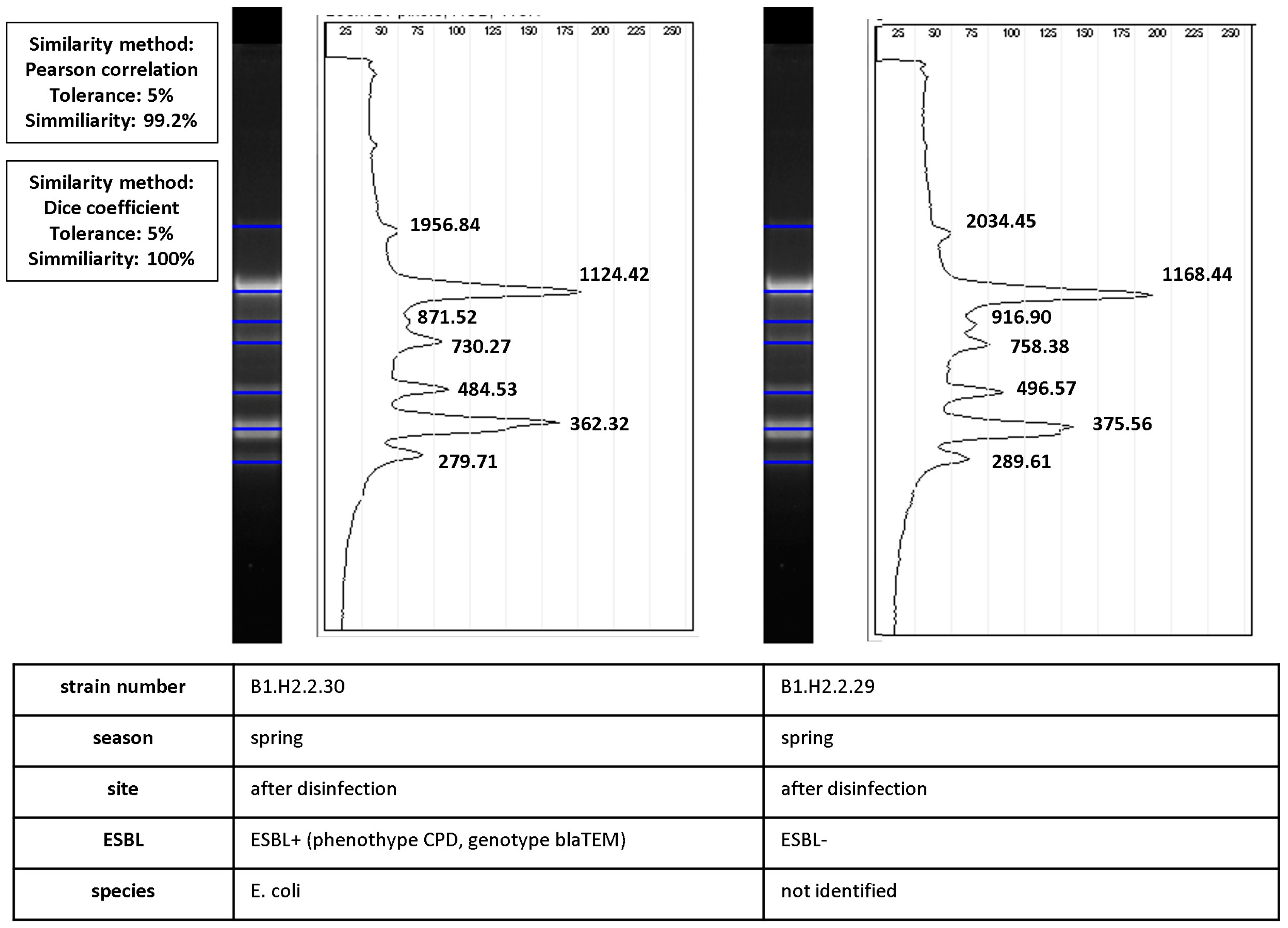 Ijerph 19 13868 g006