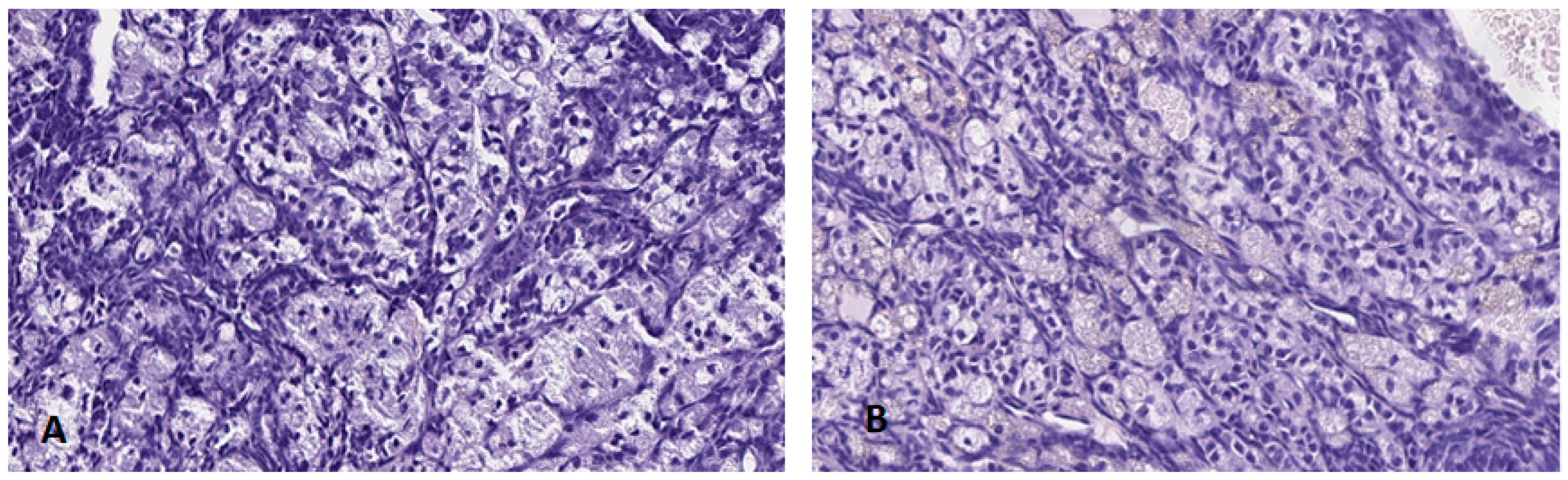 Ijerph 19 13894 g010 Ijerph 19 13894 g010