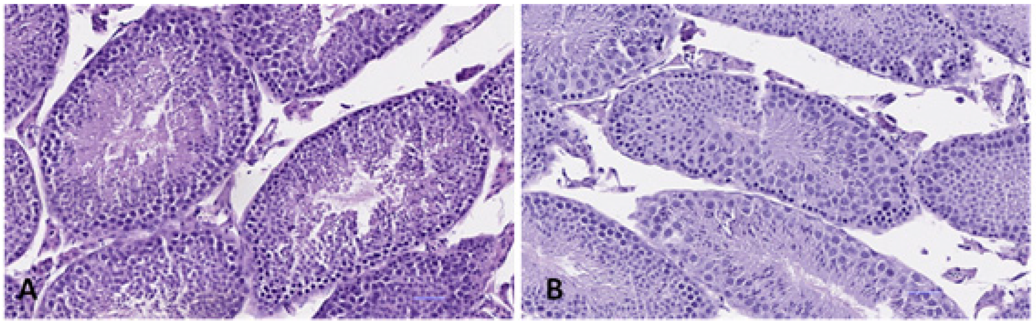 Ijerph 19 13894 g011 Ijerph 19 13894 g011