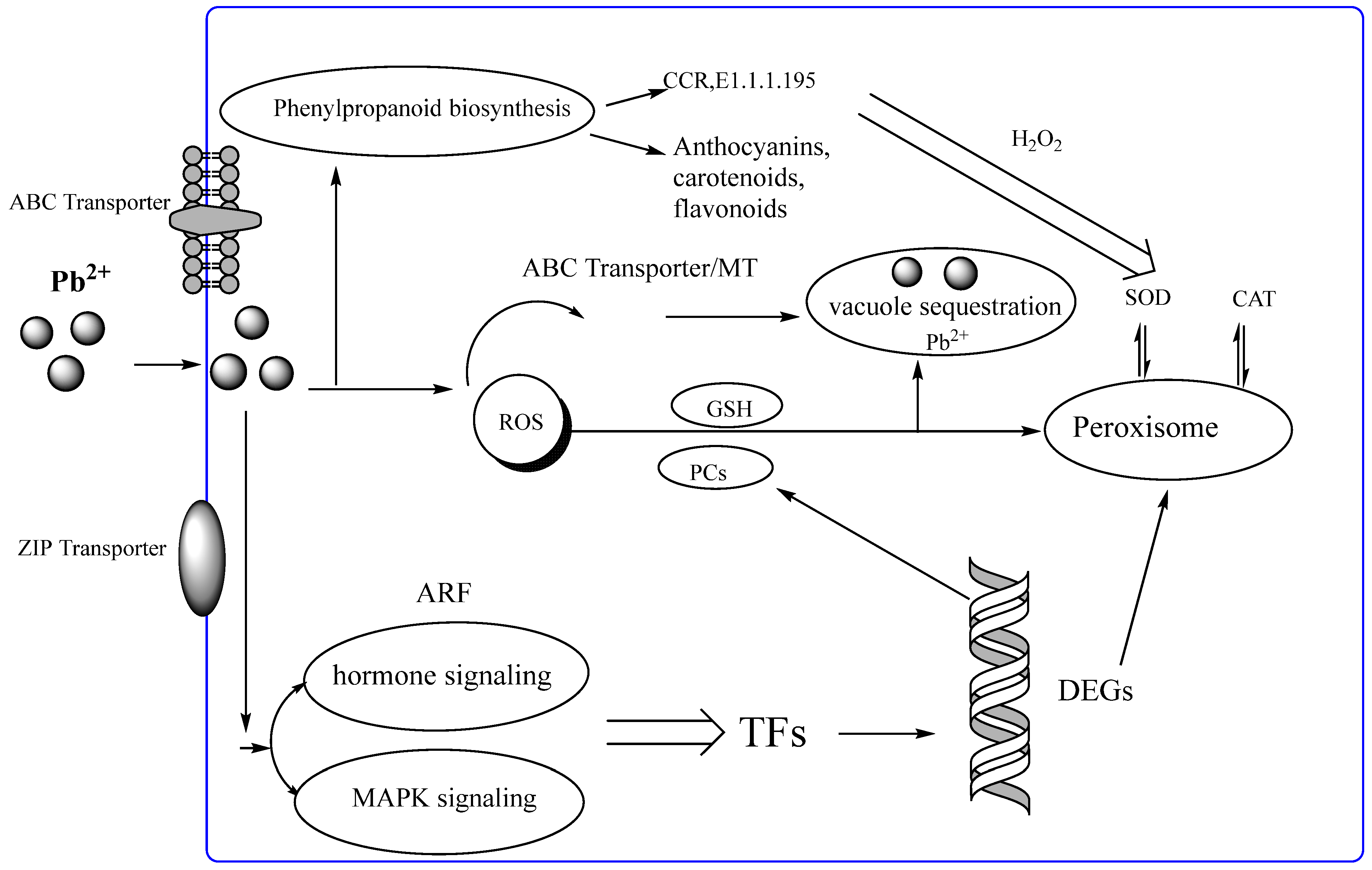 Ijerph 19 13910 g004