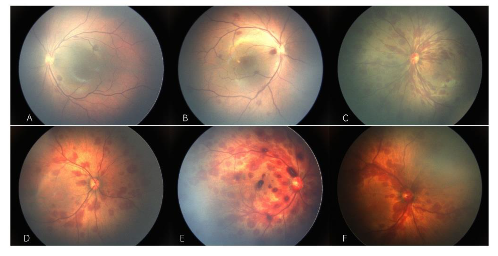 Ijerph 19 13927 g002