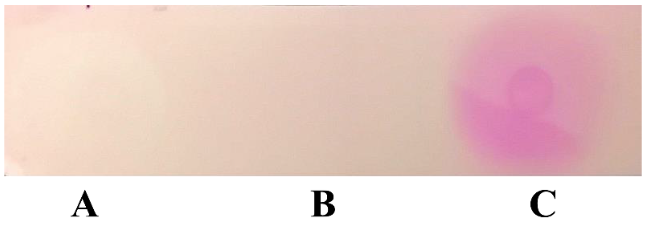 Ijerph 19 13939 g007