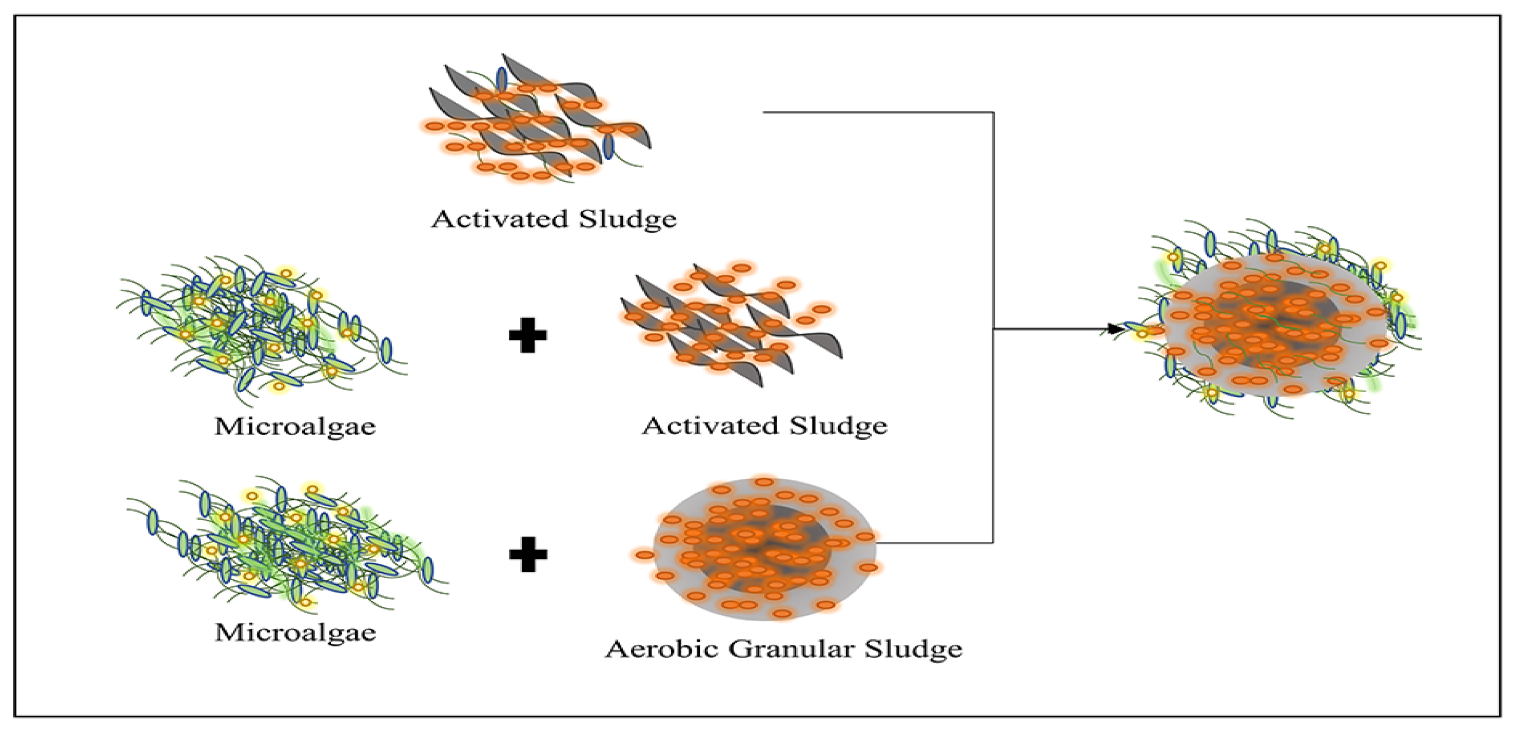 Ijerph 19 13950 g002